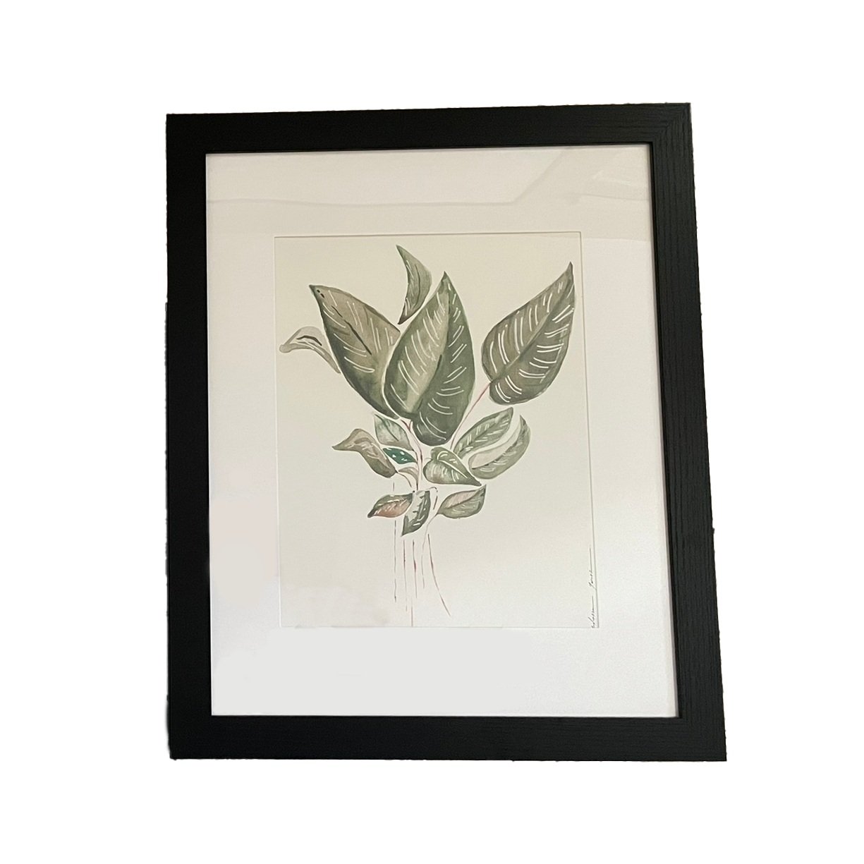pin-stripe+calathea_blackframe.jpg