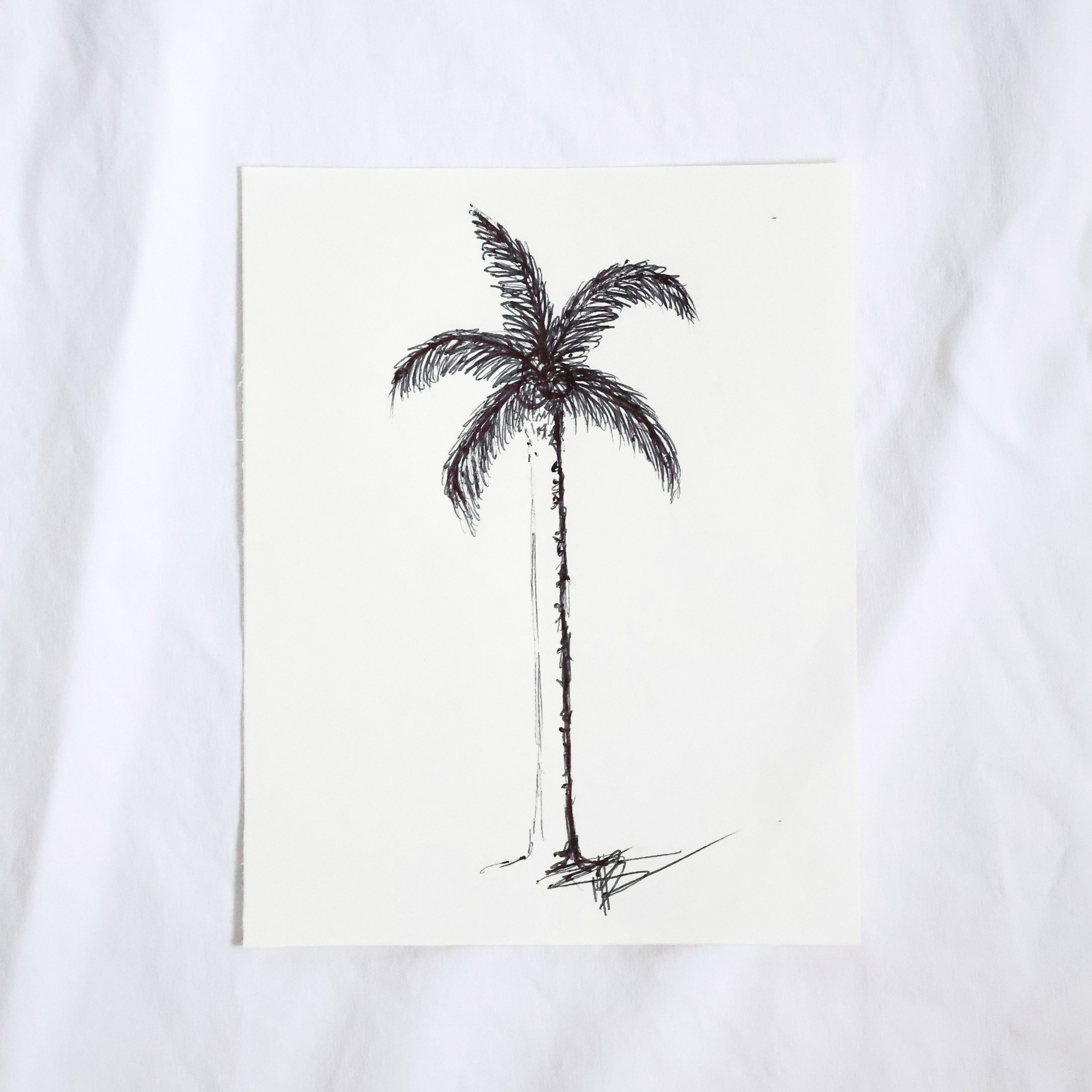 Palm Tree VI