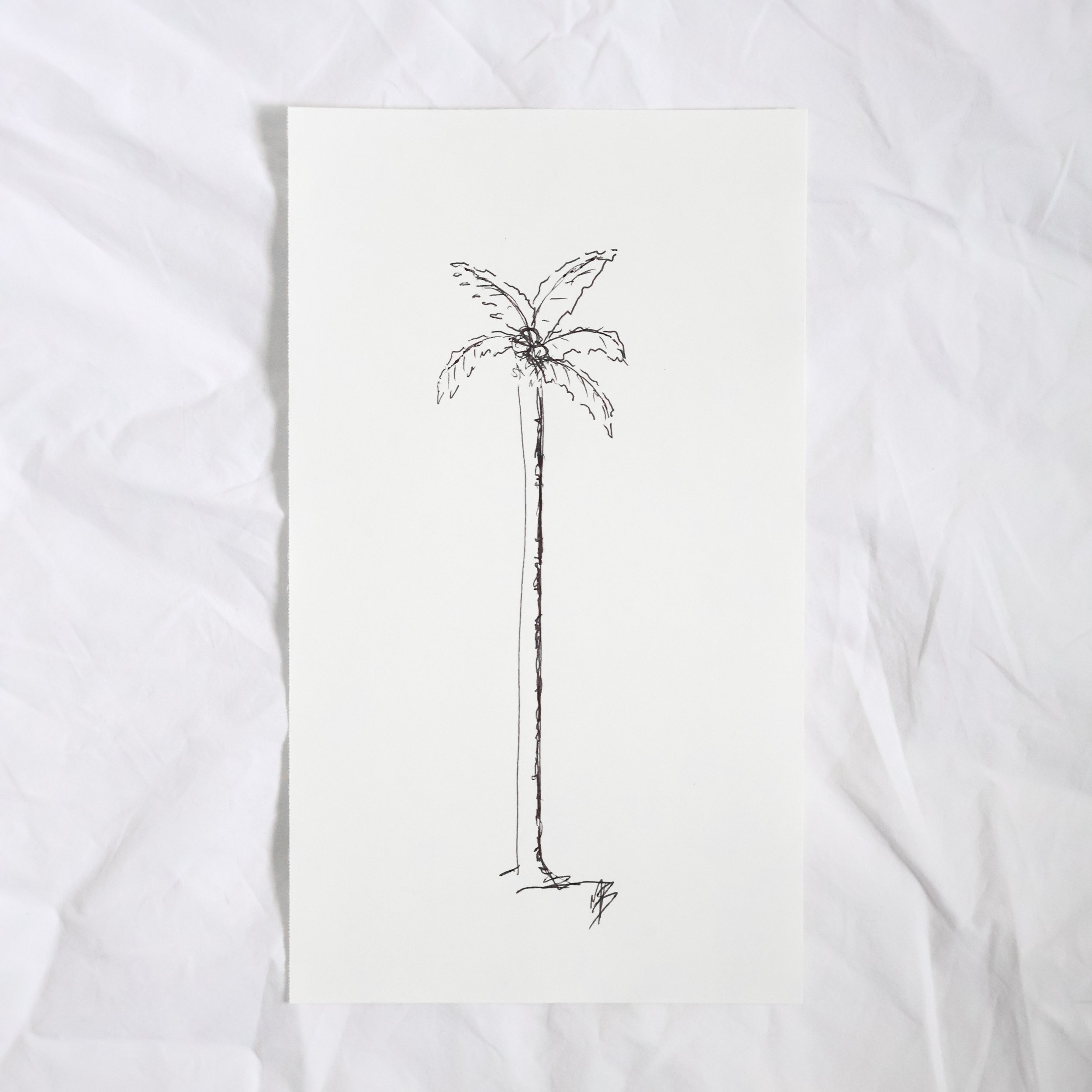 Palm Tree II