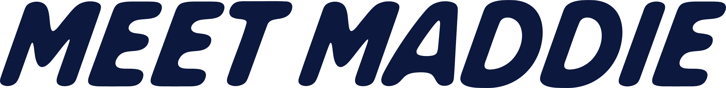 The words "MEET MADDIE" in bold navy blue letters.