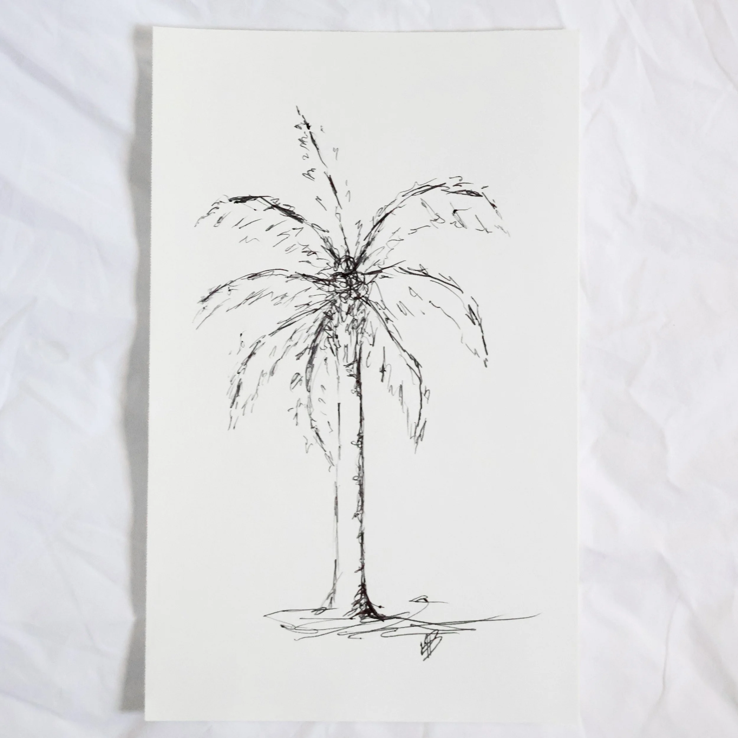 Palm Tree IV