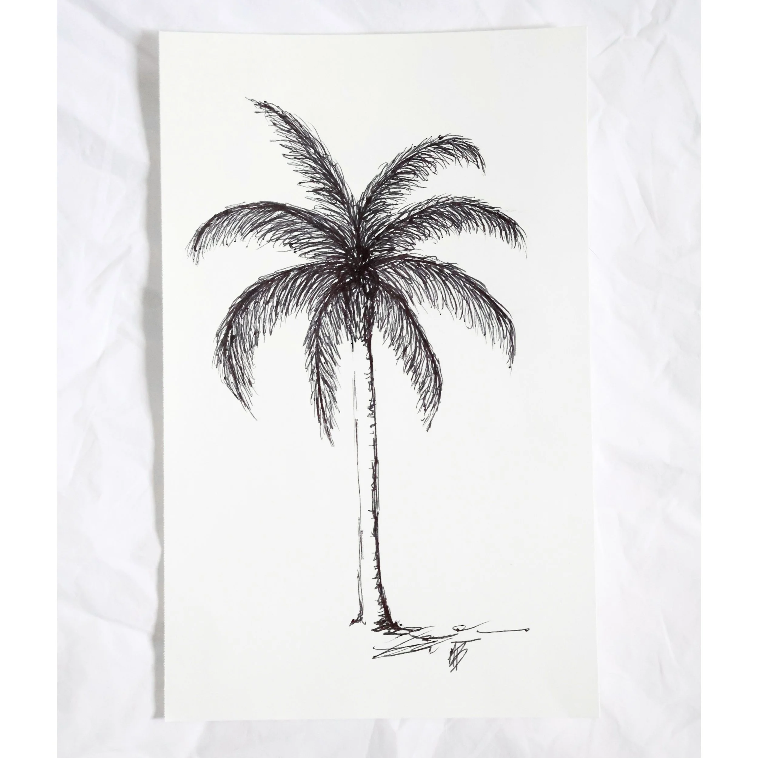 Palm Tree V