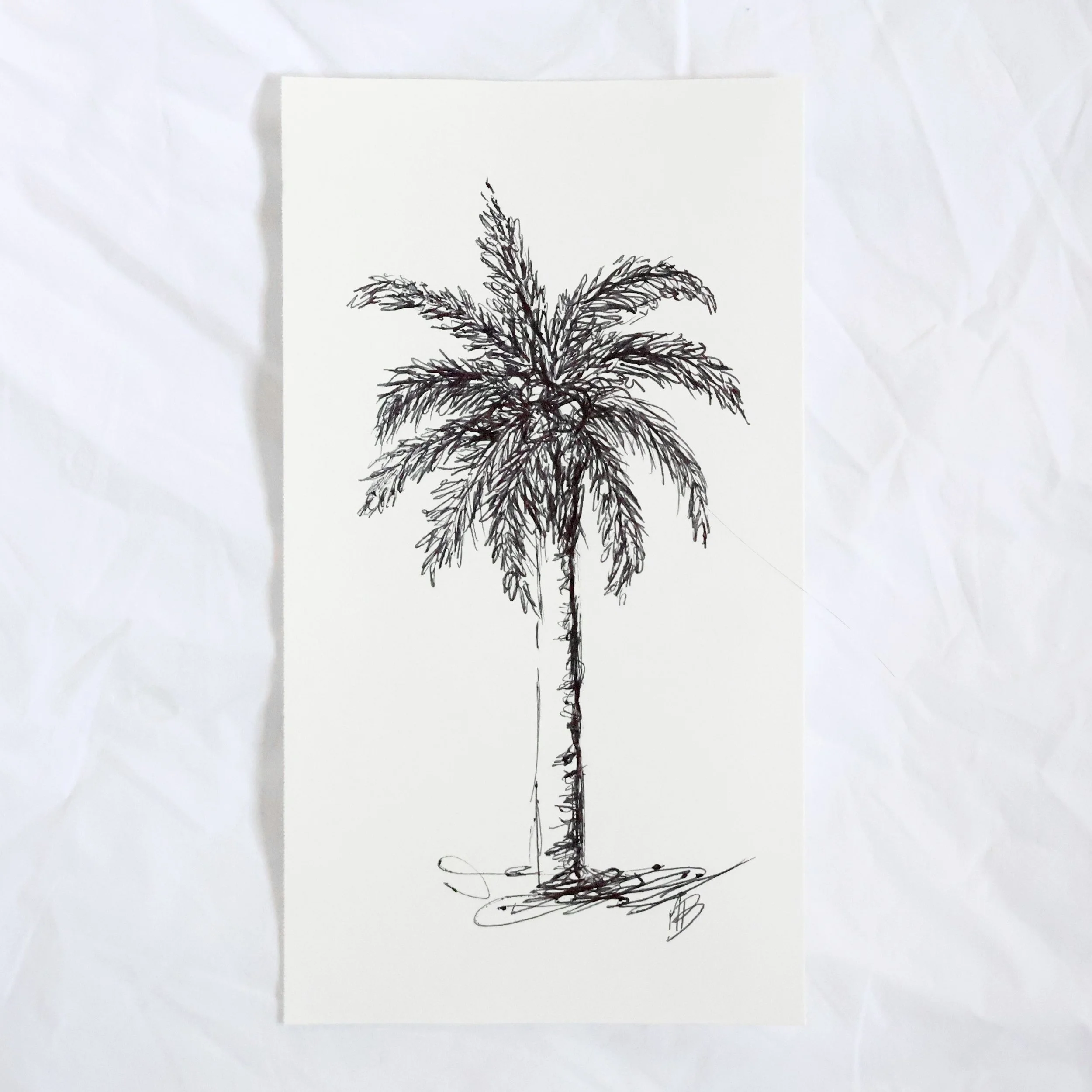 Palm Tree I