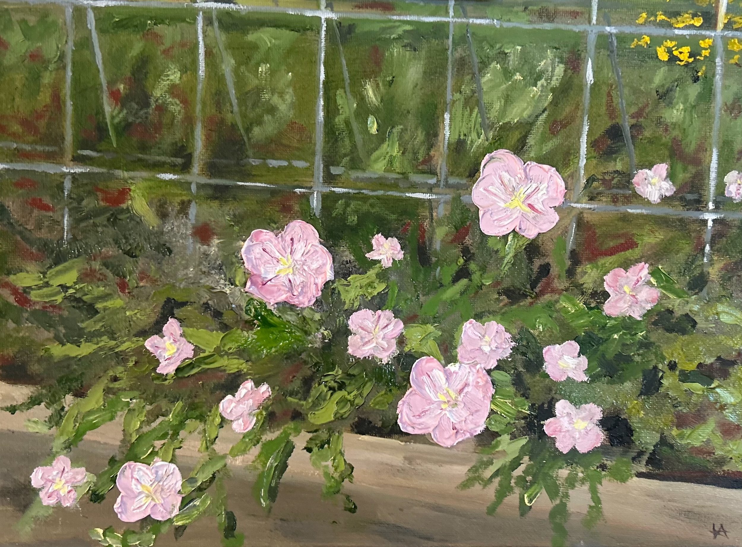 "The Ladies"