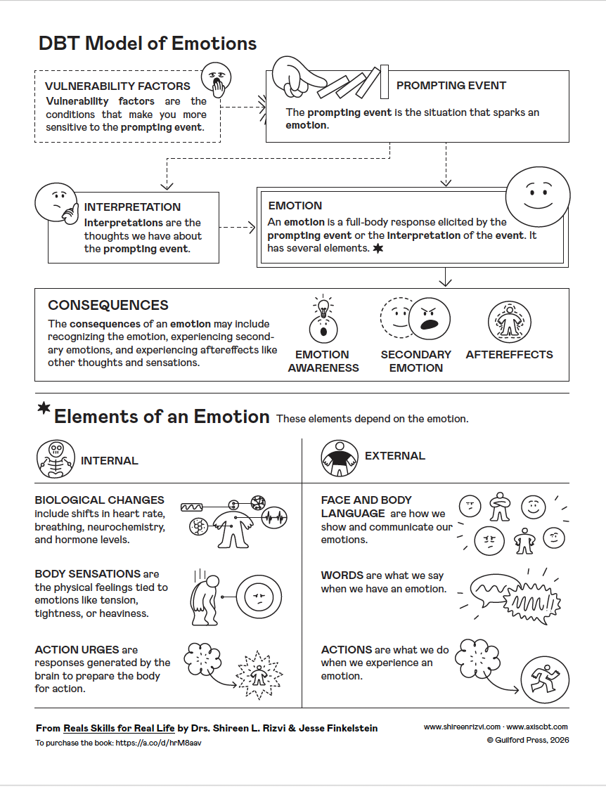 Dbt Formulation Example Resources — Shireen Rizvi, PhD, ABPP