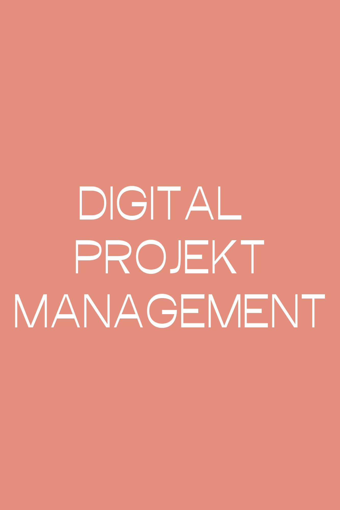 Teaser für das Angebot als Digital Projektmanagerin
