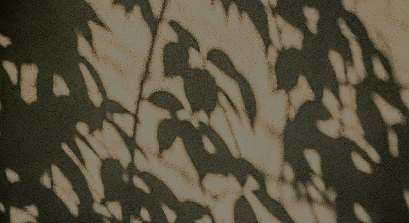Bild vom Schatten von Pflanzen auf einer hellen Hauswand