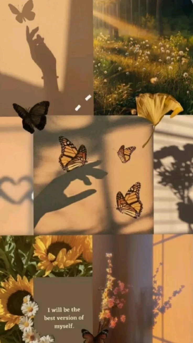 fond d'écran papillons.jpeg