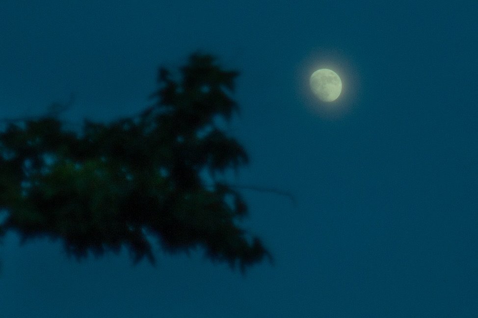 Pier 26 #moonphotography