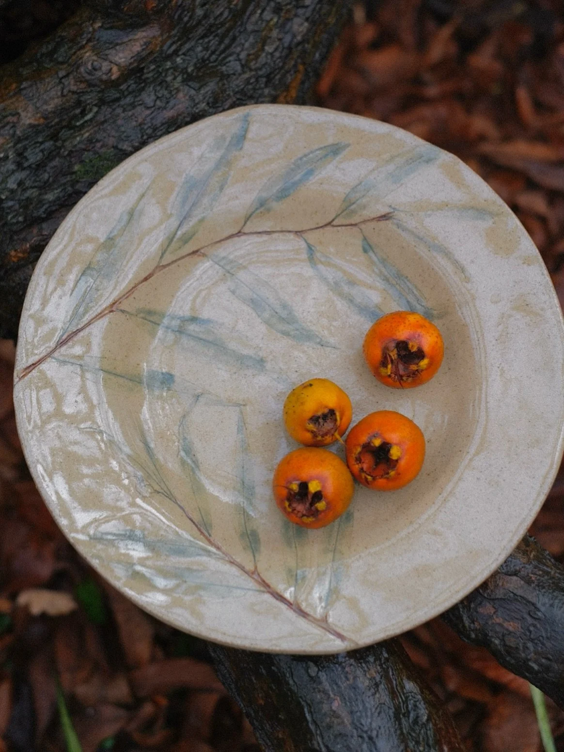 Willow, one of my favorite trees. I have so many fond memories as a child counting them on long car journeys down traveling through the winding country lanes of Kent and Sussex. 

These majestic trees that are linked with healing, renewal. The elemen