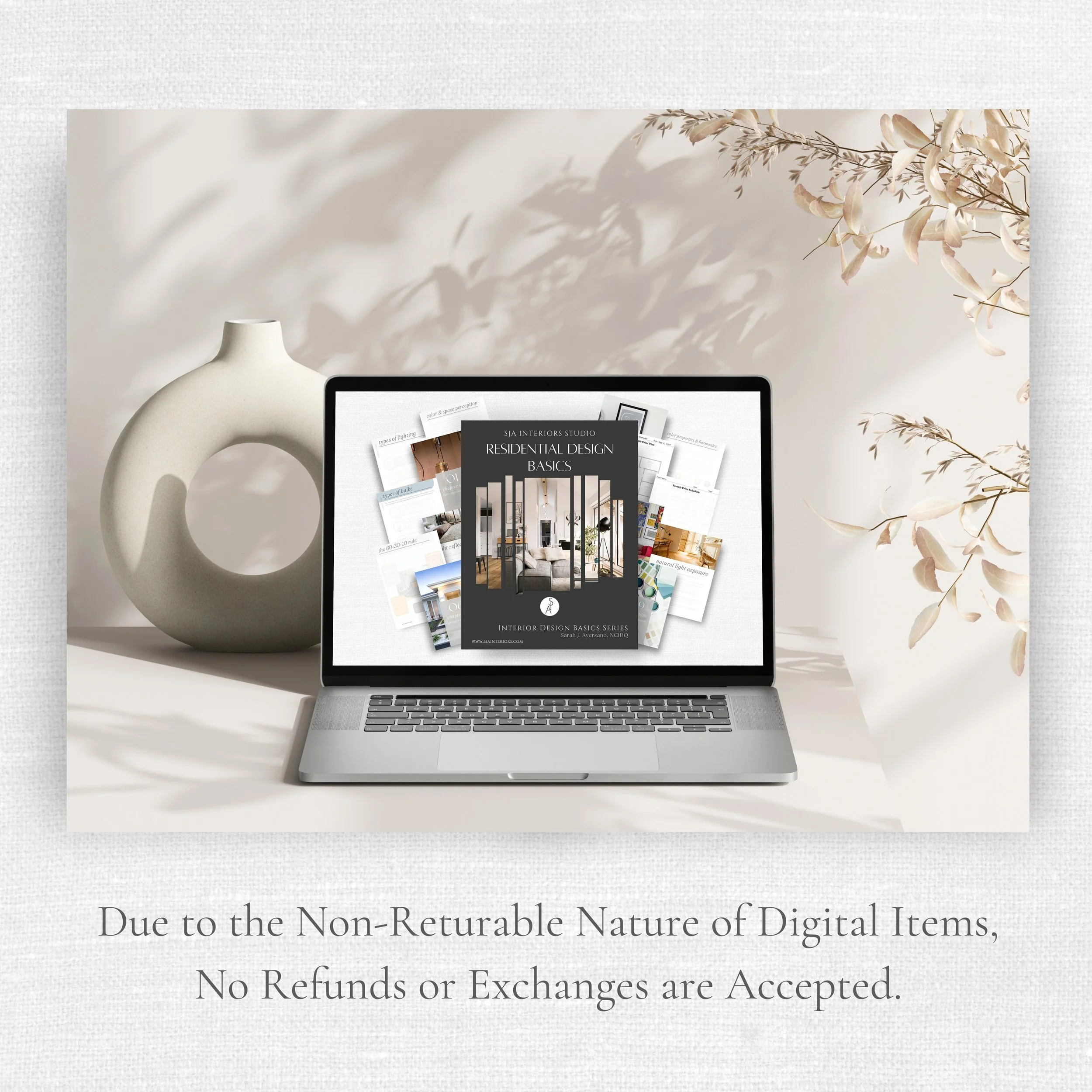 Laptop Mock Up Slide for SJA I Items.jpg