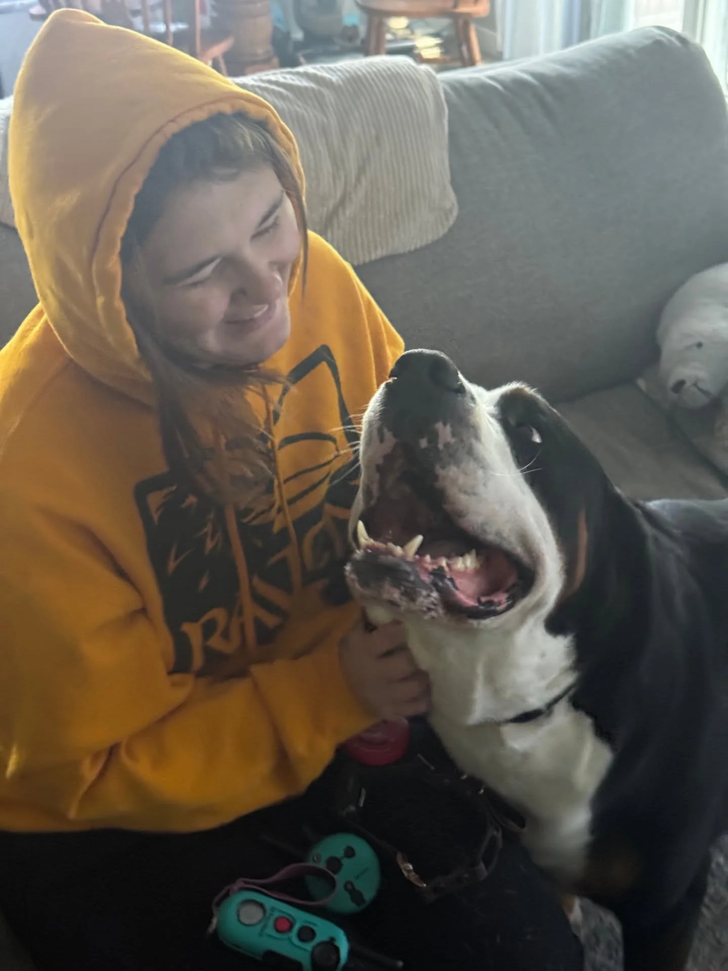 Just dog things.