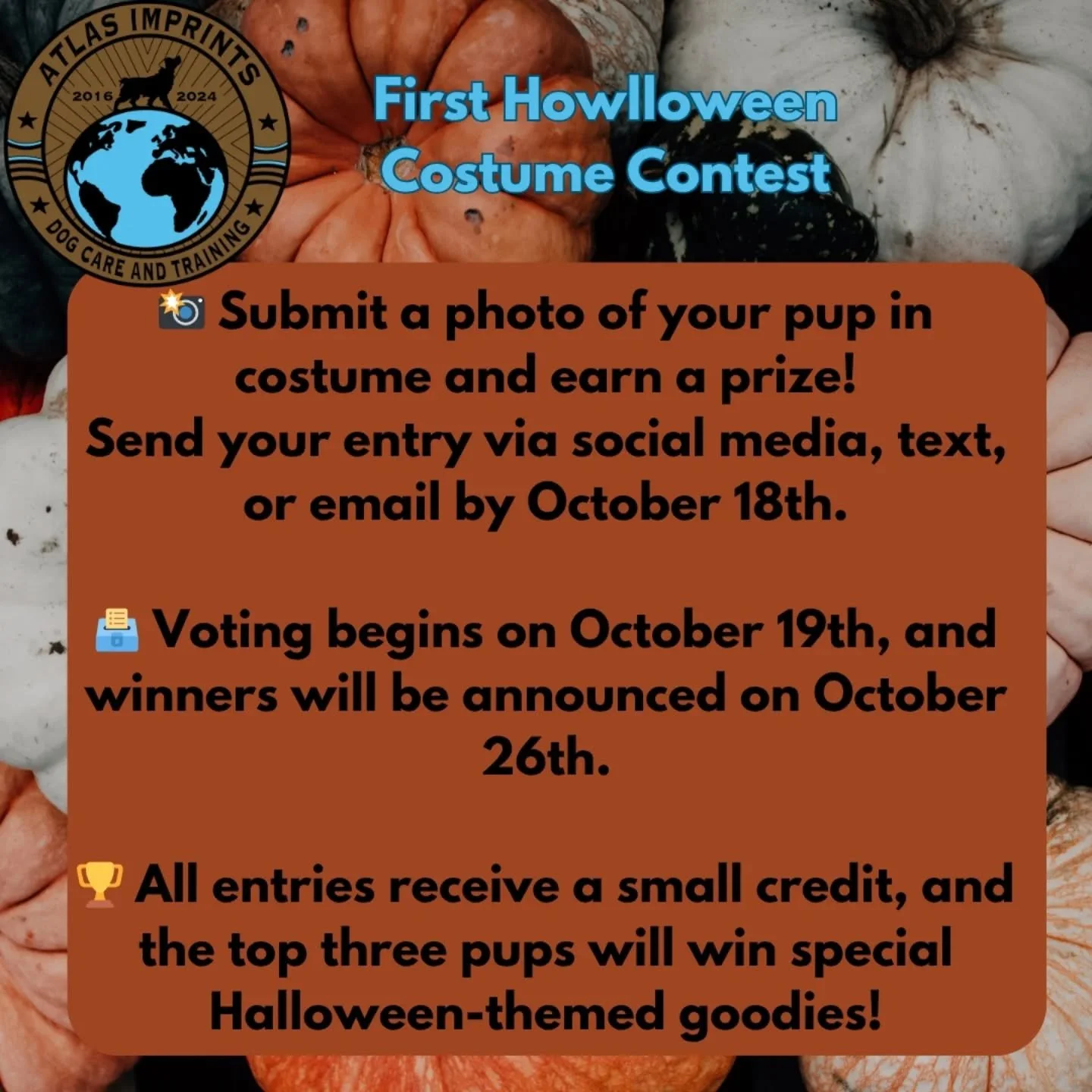 Join us in the fun of a Halloween costume contest. 
Dress up your pup in anything fall-themed or do a dual costume with your best friend and send them to us. 

We will post them all here for a public vote, and the winners will get some fun goodies fo