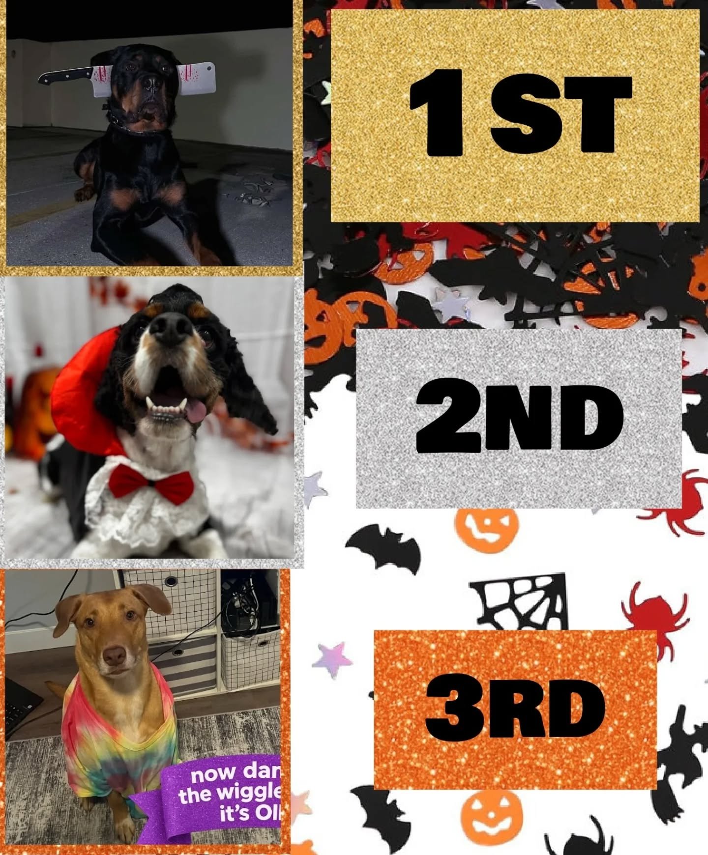 Votes are in! 
⭐Our winners have been chosen. 🎃

In First place, we have Soka 
In second place, we have Merlin
In Third place, we have Ollie
👑🐶🎉🎃

Thank you all for participating. We hope to see you again next year.