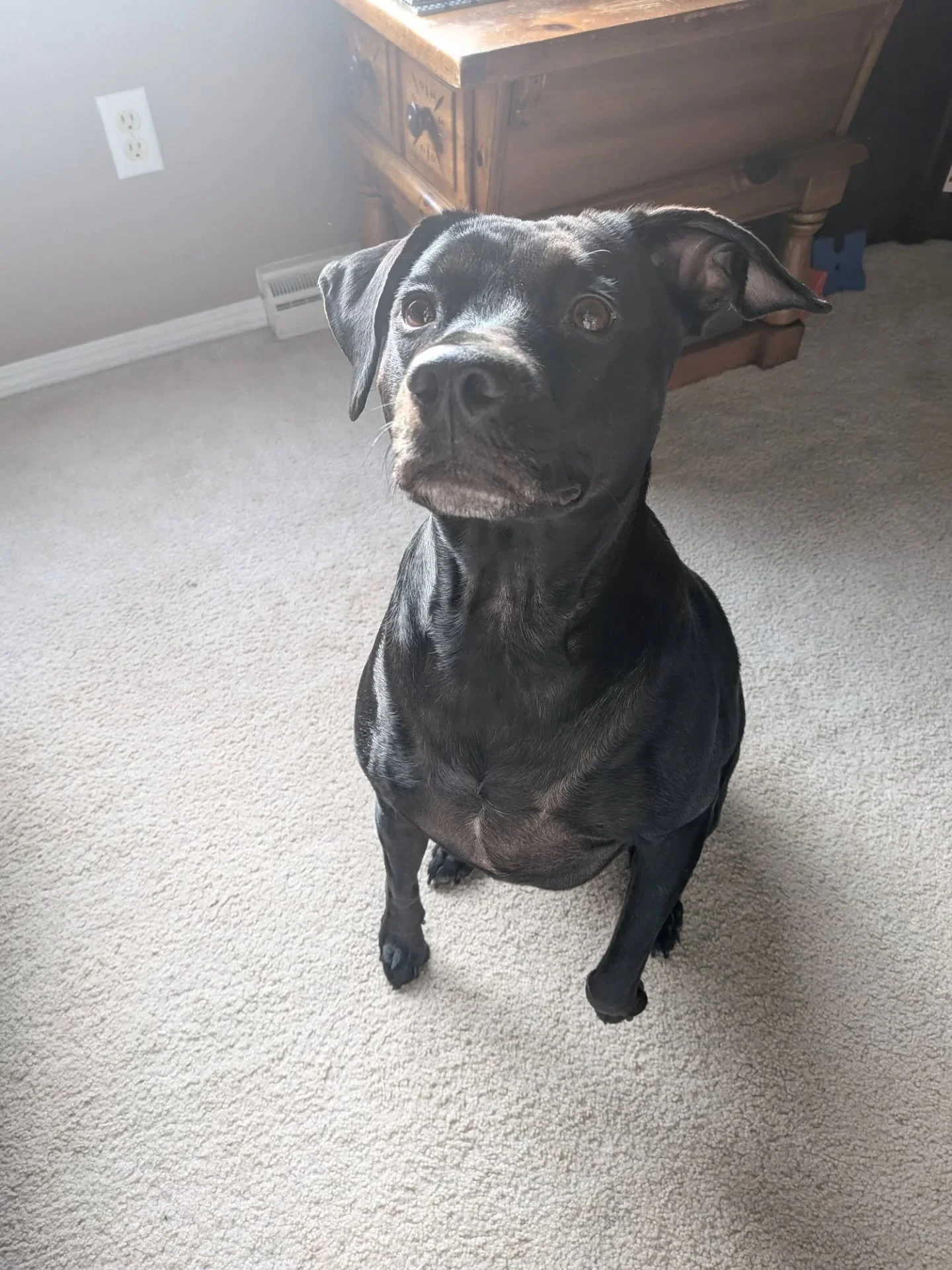 Happy birthday, Parker! 

So glad we could all spend the day with you.