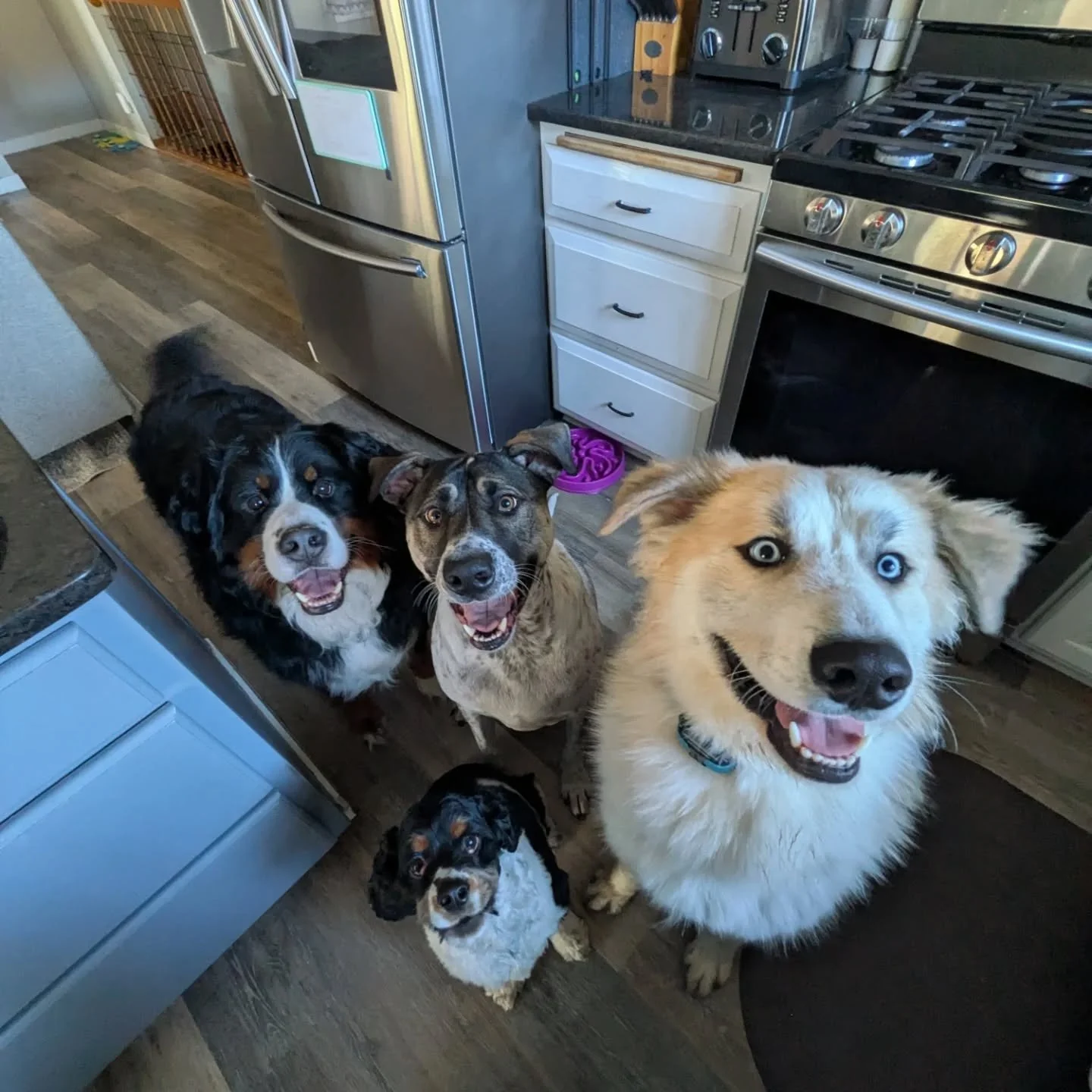 Today was for the boys!