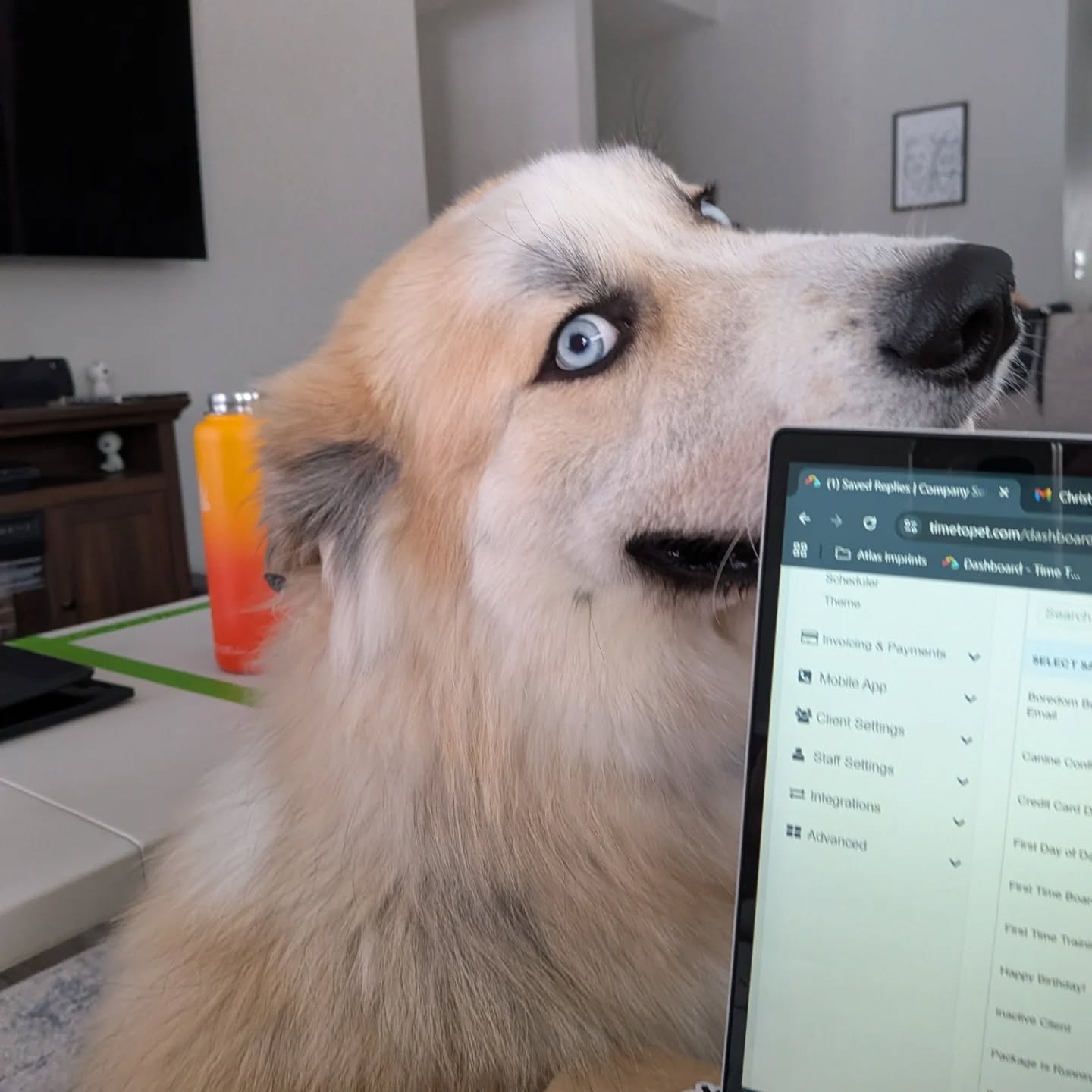 If the pictures aren't a little bit awkward, are you even doing it right? 🤔