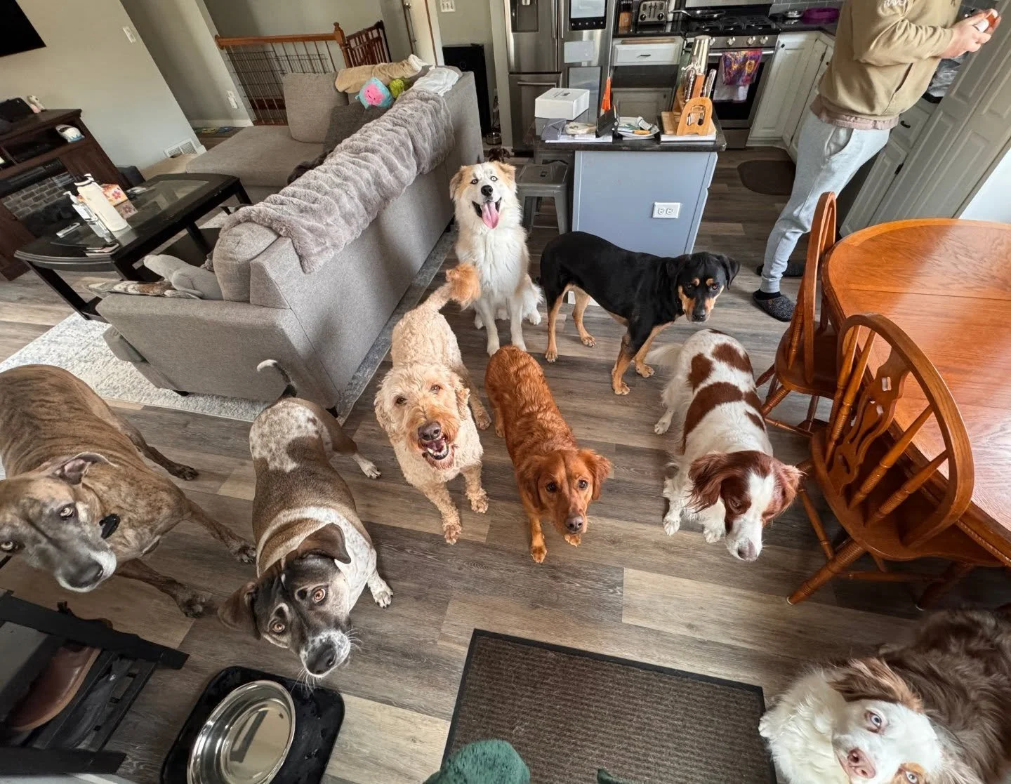 Got everyone in one shot today!