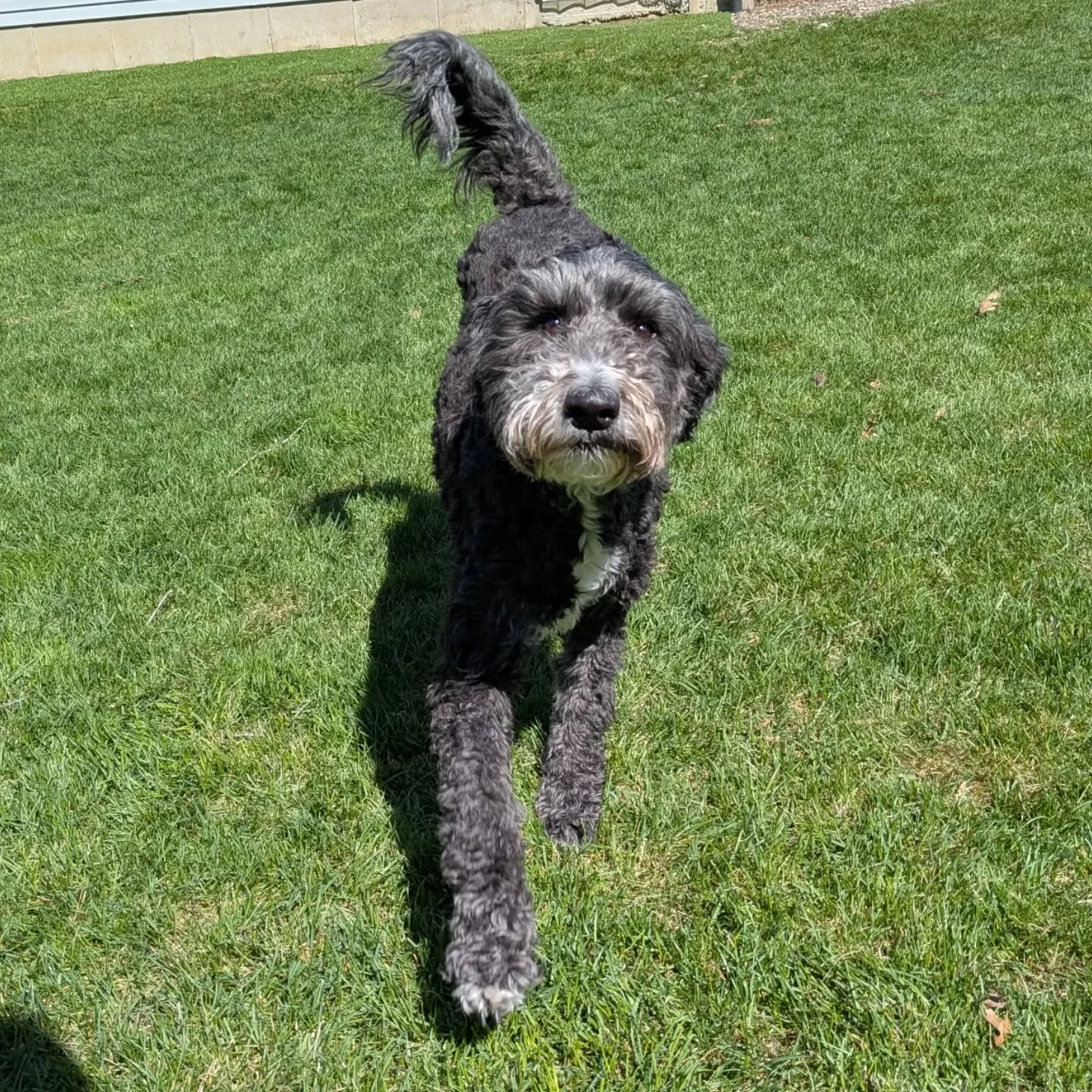 It's a great day to play!