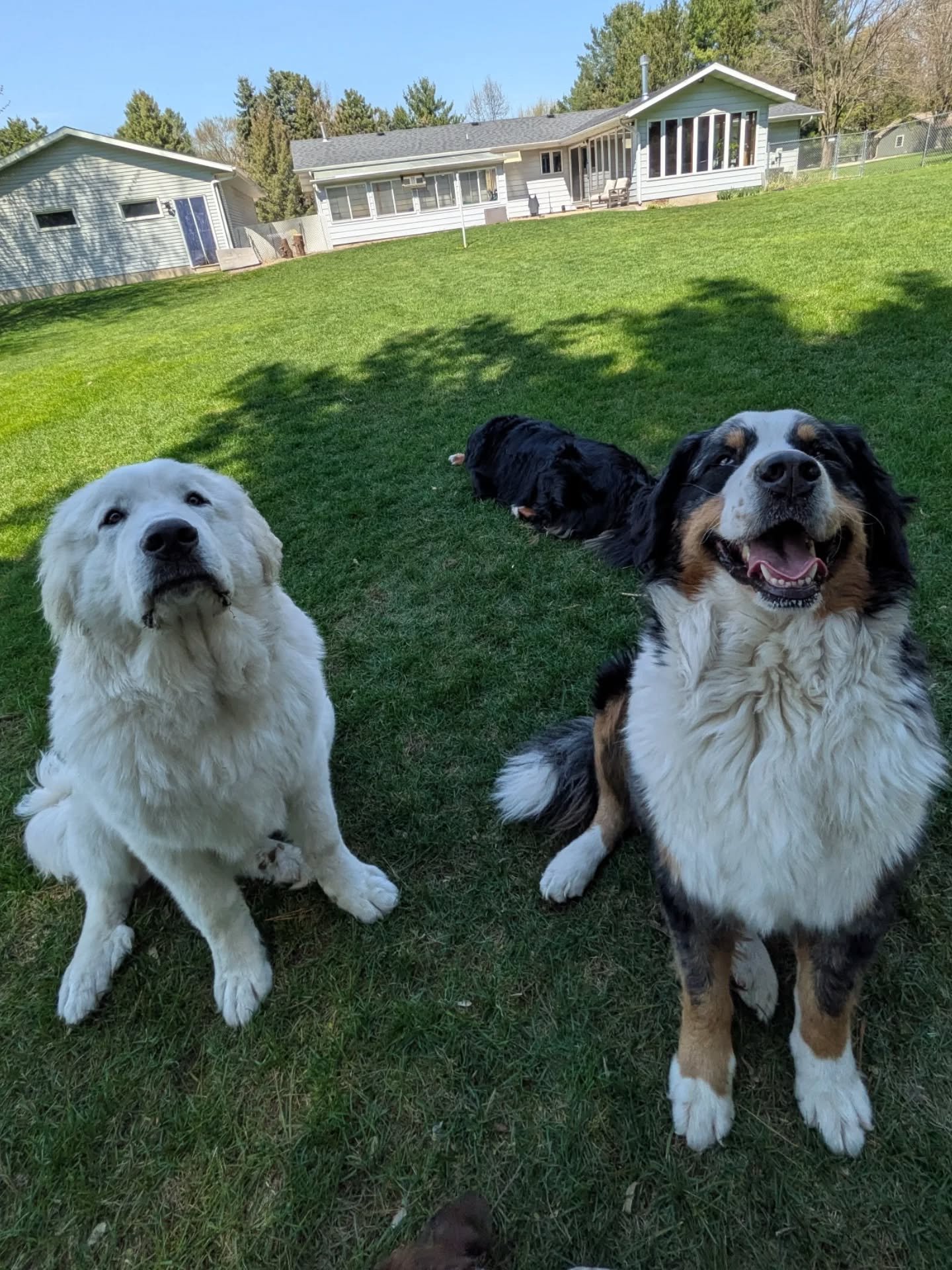 Another beautiful day 🌞