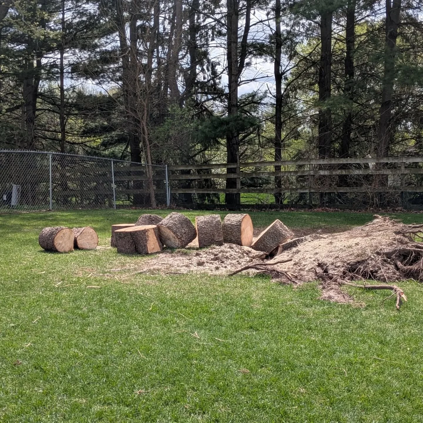 Thank you @fenris_the_swissy for the last push to get this tree done. 💪 
I really can't thank everyone enough for all the help. 🫶