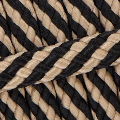 German Shepherd.webp