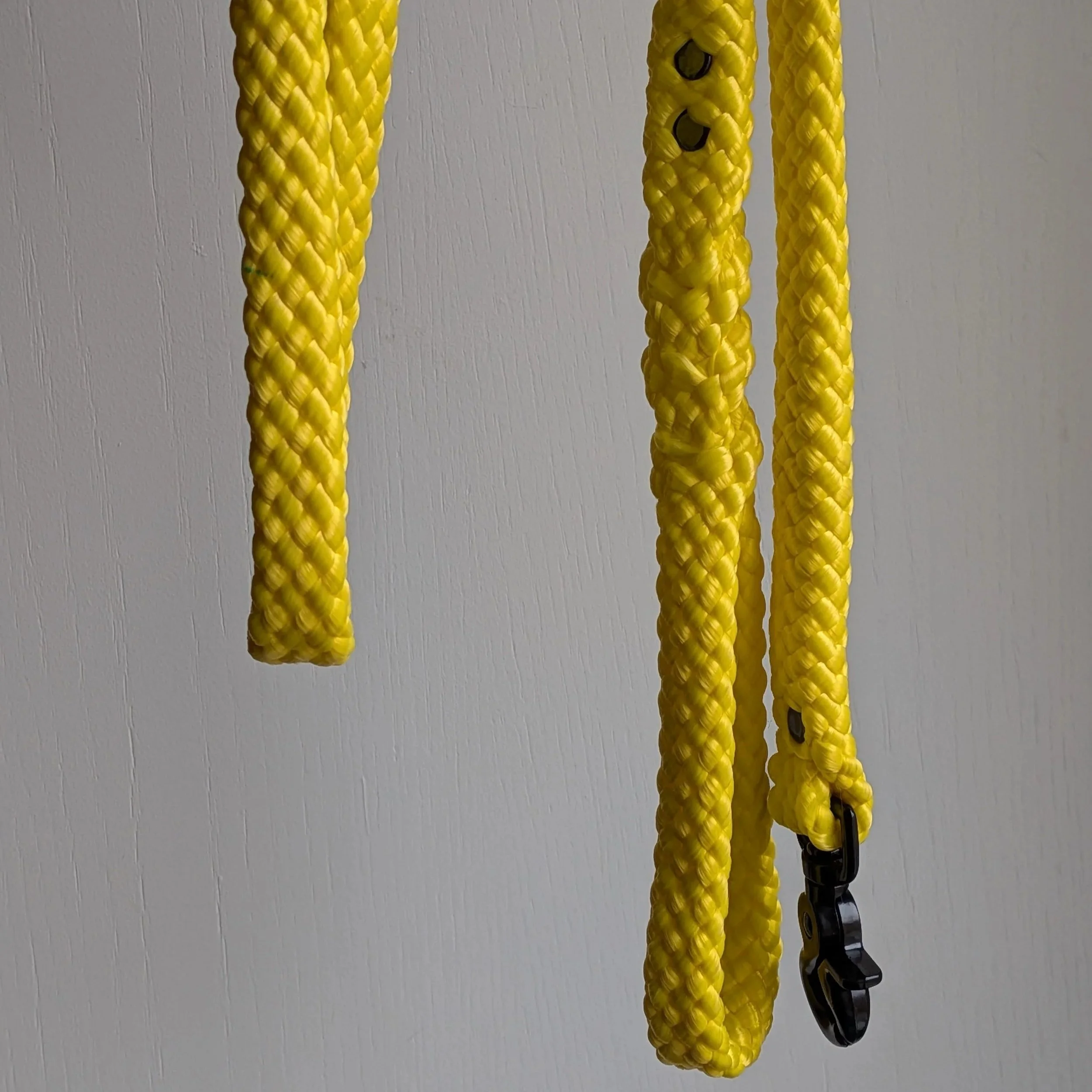 Leash - Greyscale & Yellows