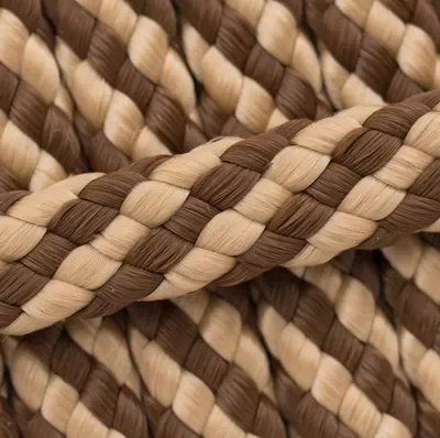 Chocolate Praline.webp