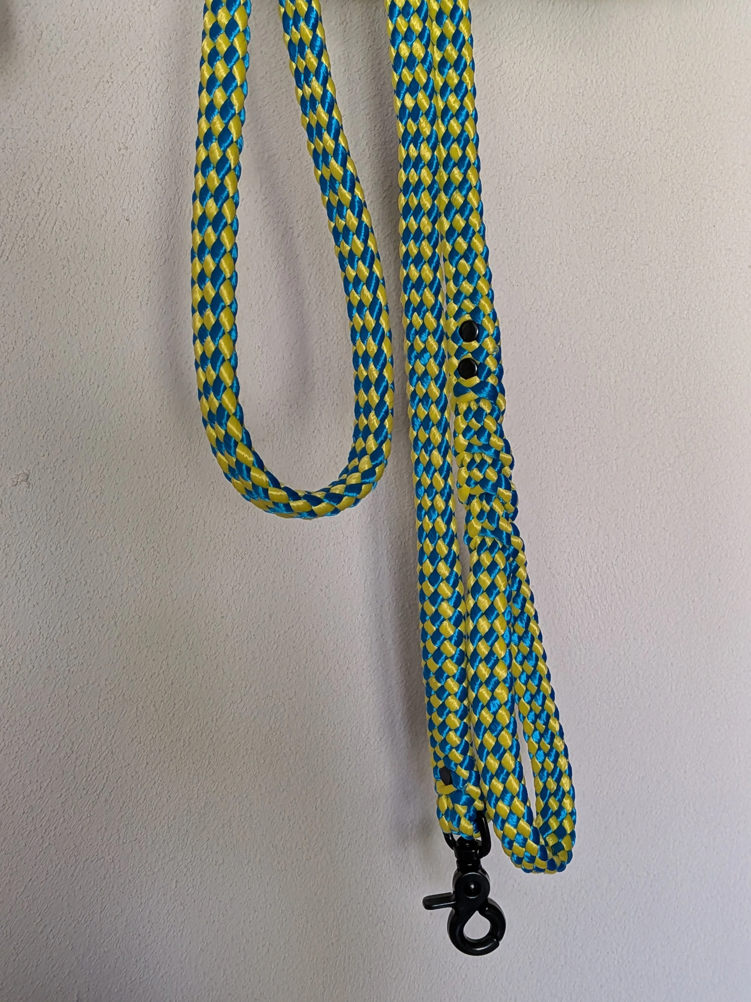 Leash - Multicolor