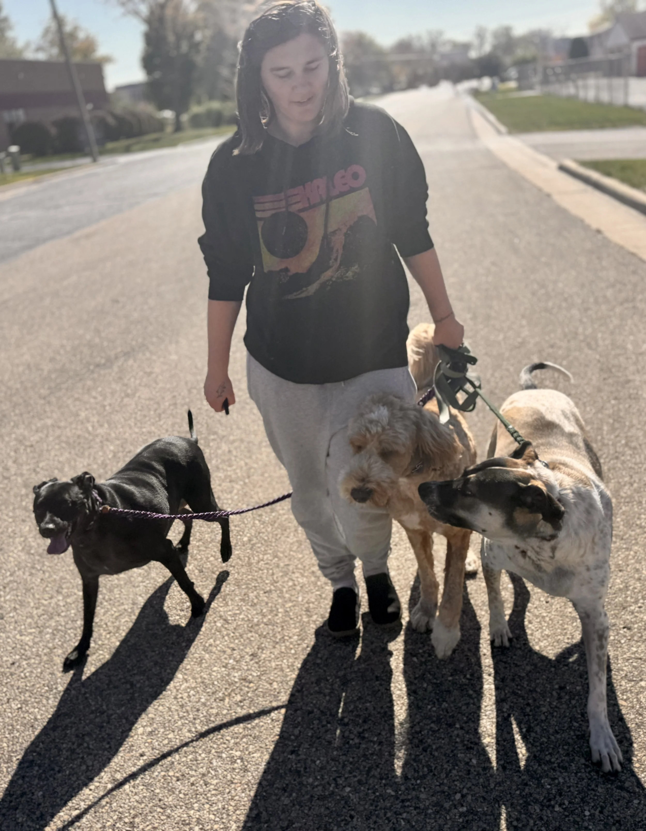 A girl walking with three dogs on a sunny street. The girl is wearing a black hoodie with colorful design and light-colored sweatpants. The dogs are black, cream, and a mix, all on leashes.