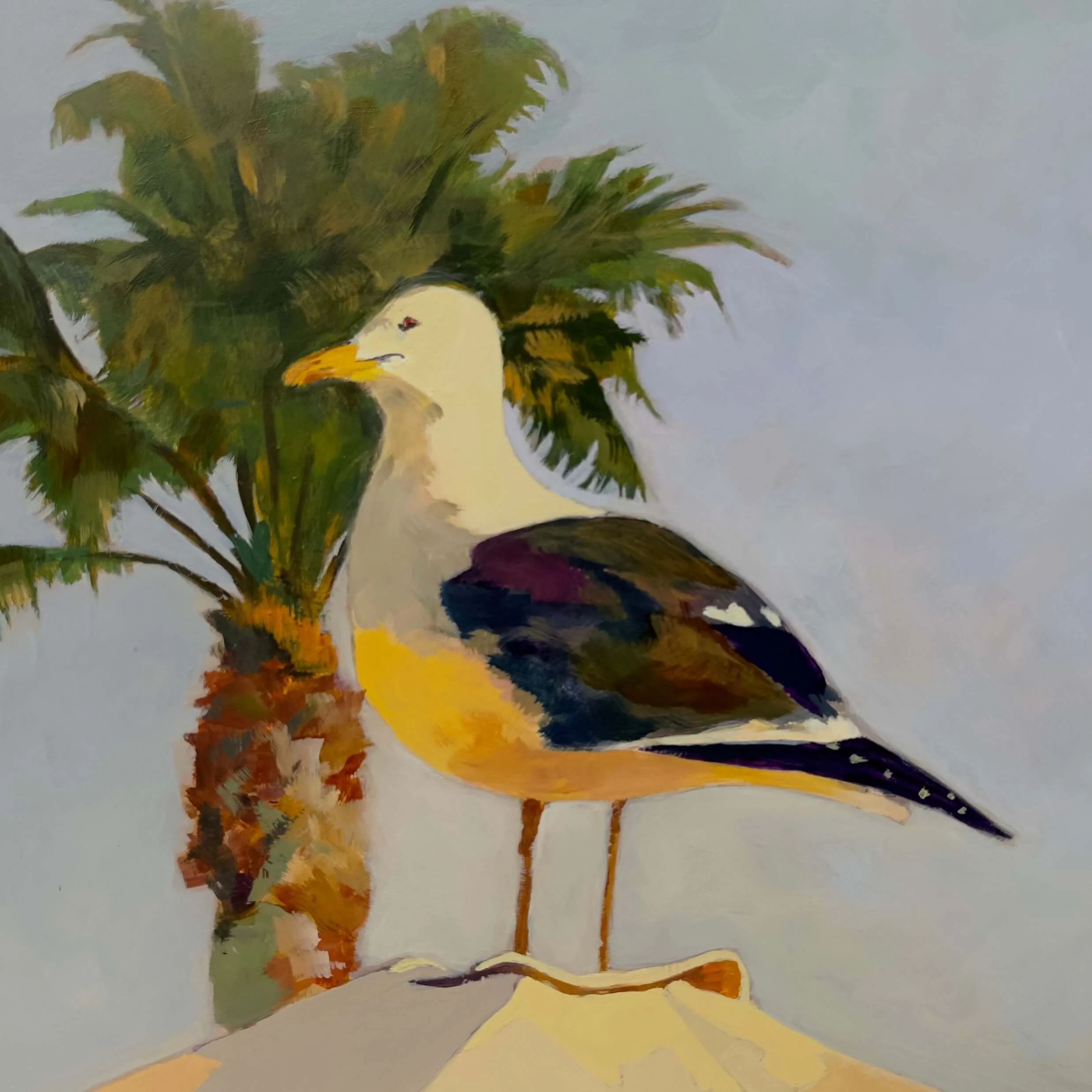 Gull-ible