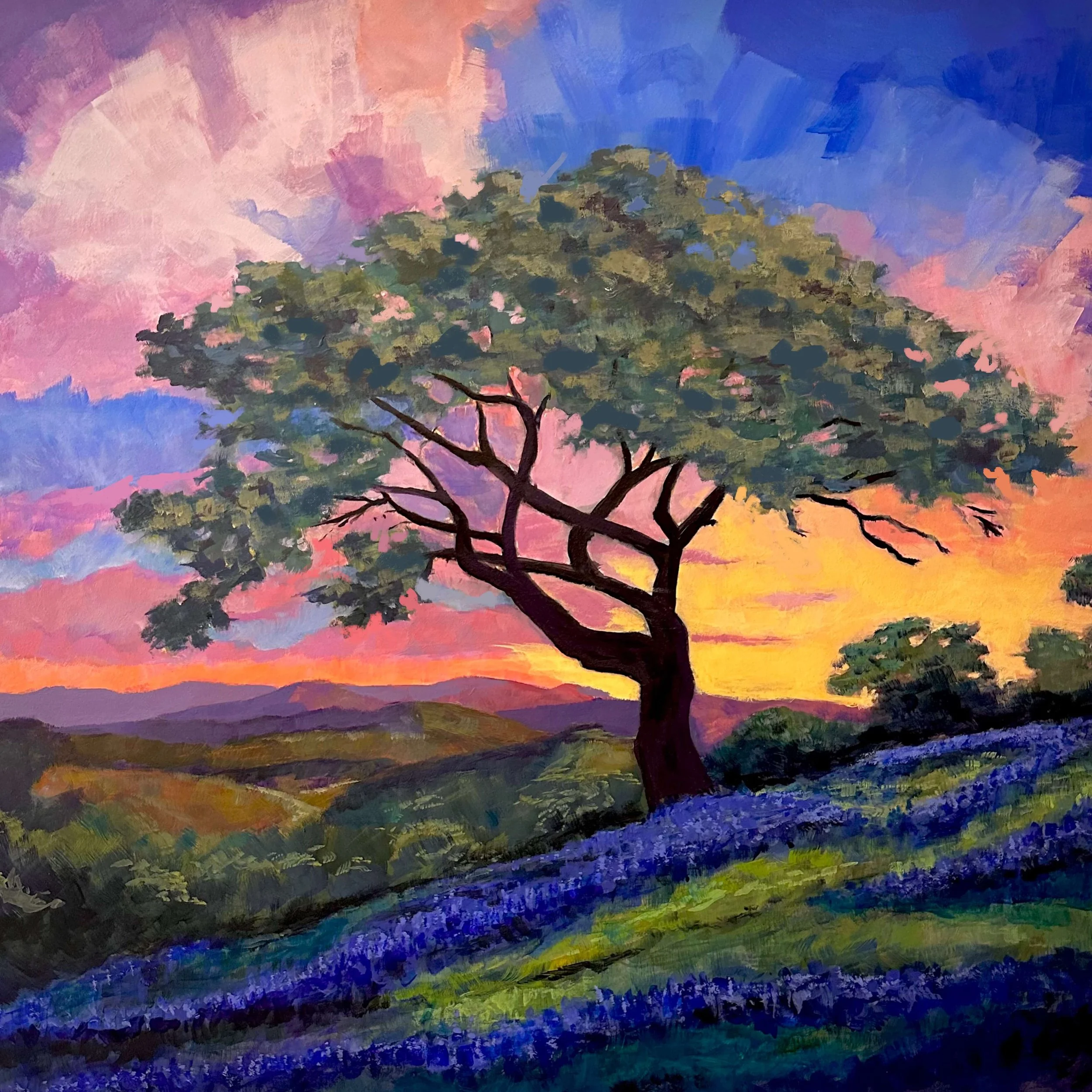 Bluebonnet Hill Optimized .JPG