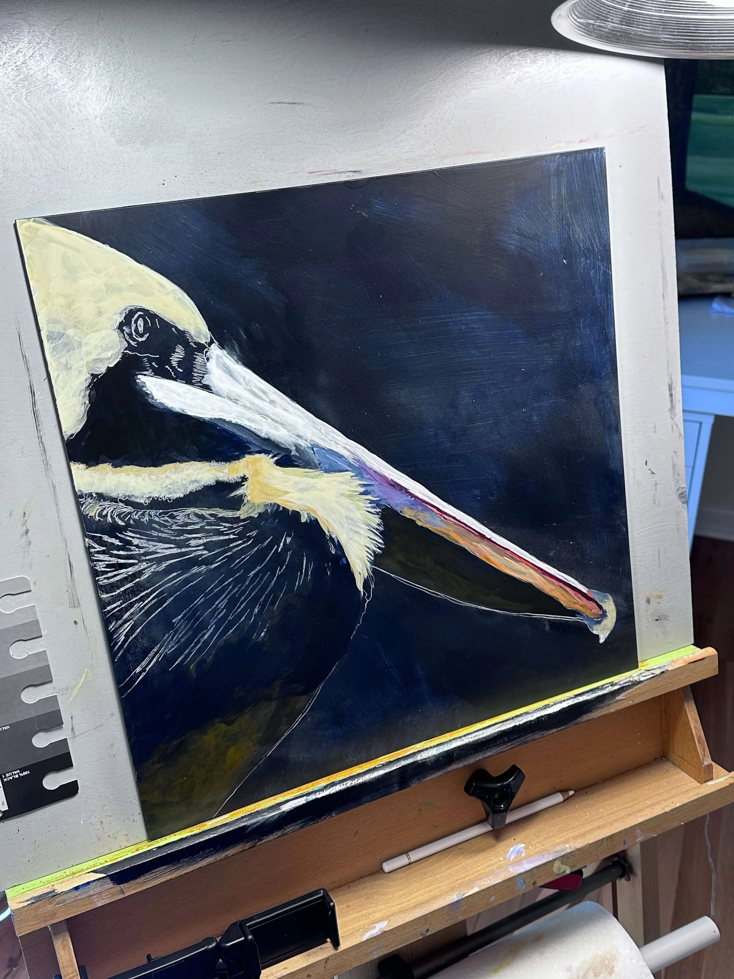 Original 16x16 acrylic painting titled Pelican Bill of Rights, a close-up portrait of a brown pelican’s head and bill against a black background