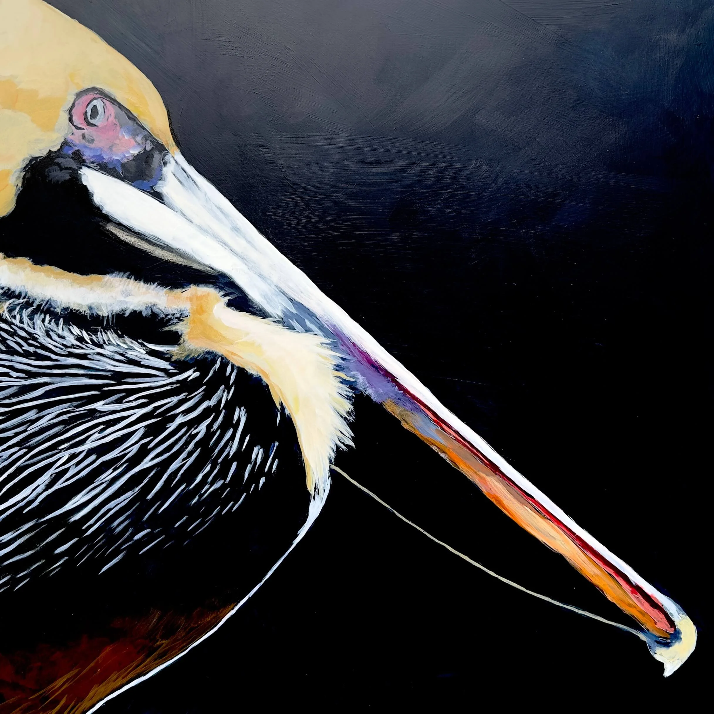 Pelican Bill Of Rights