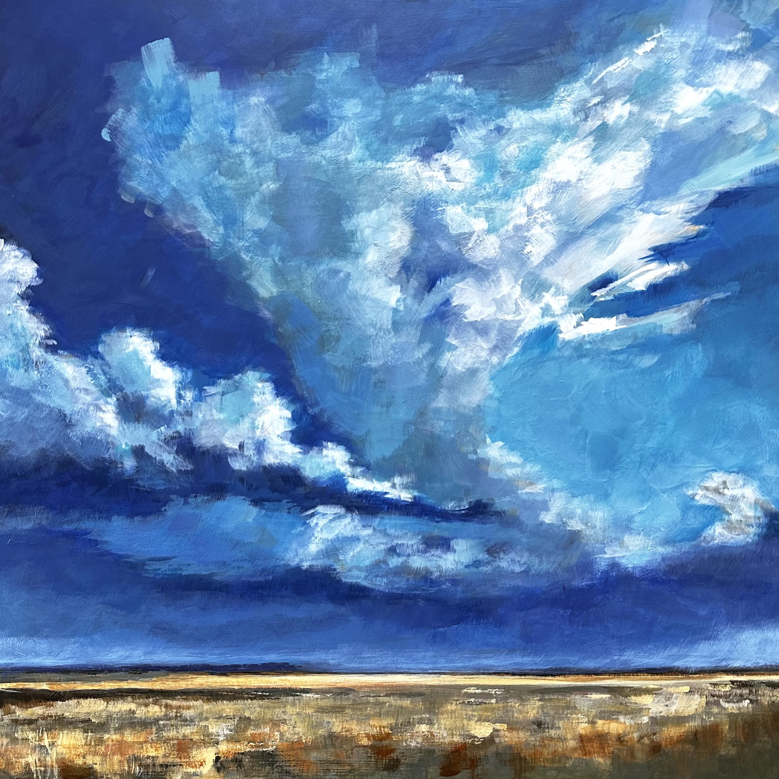 Landscape painting of an impending storm on the horizon, capturing the drama of dark clouds over open prairie or Lowcountry wetlands
