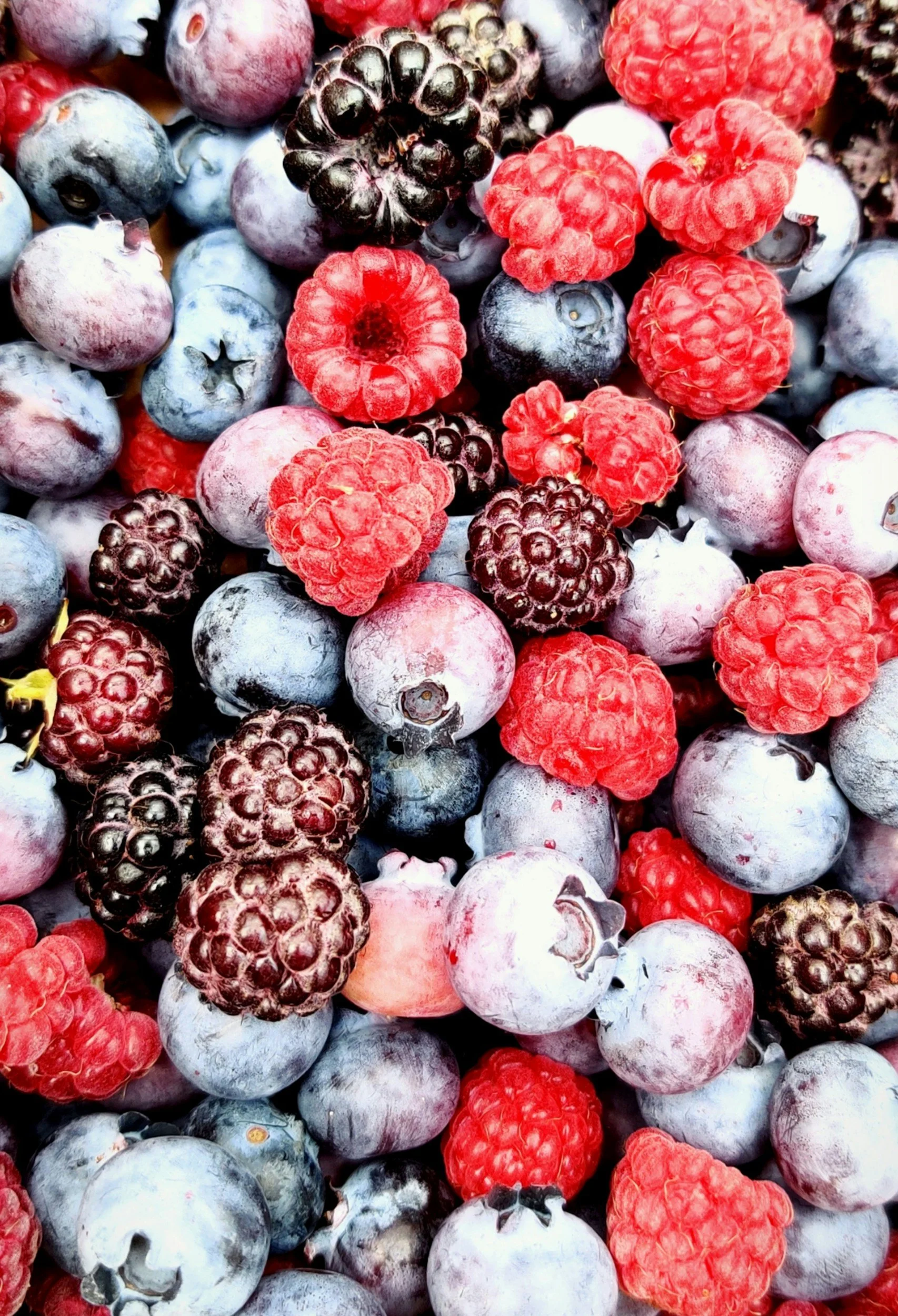 Un mélange de mûres, myrtilles et framboises fraîches.
