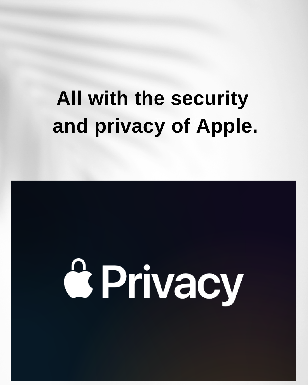 Privacy.png