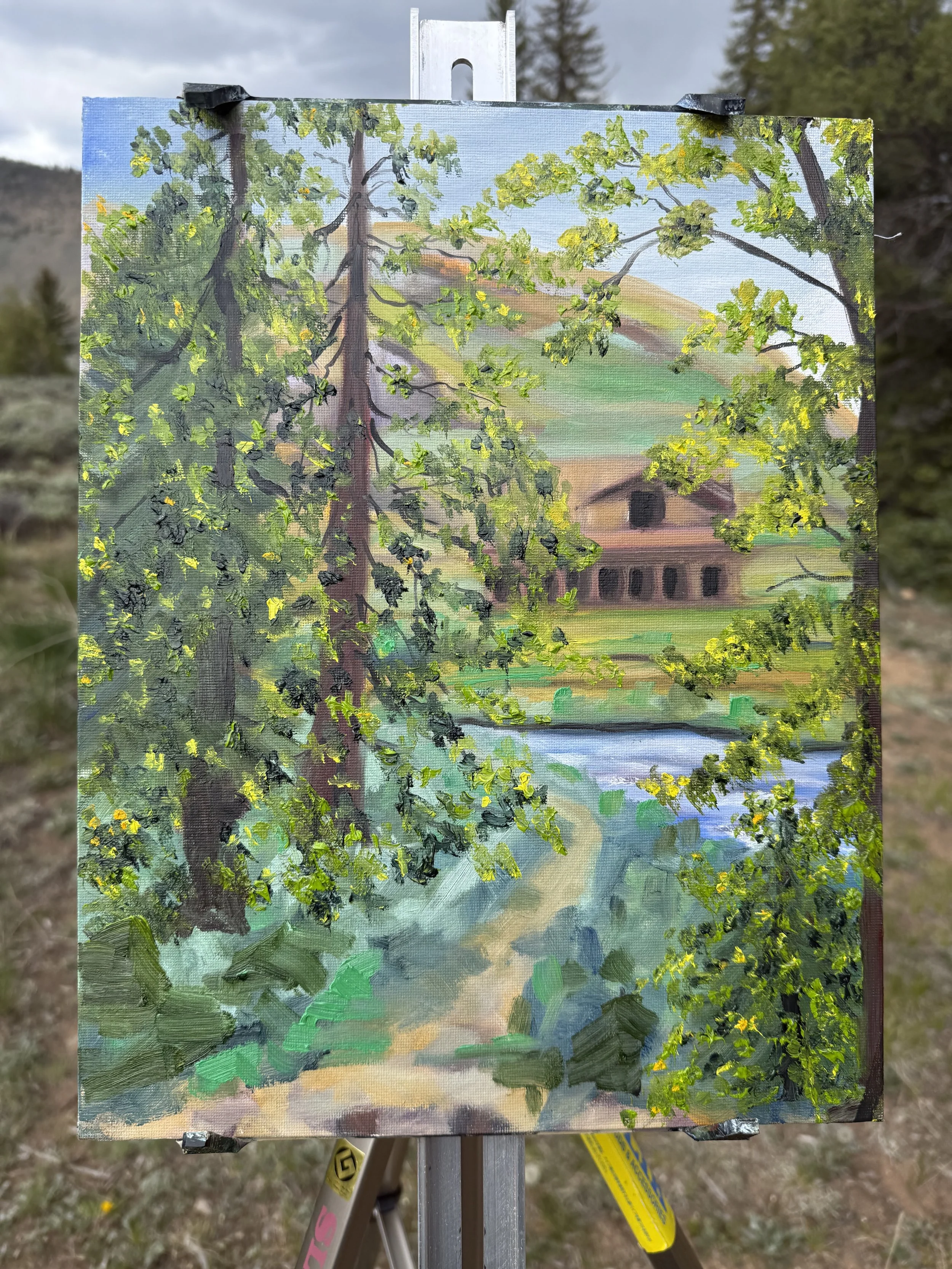 Mountaiin cabin