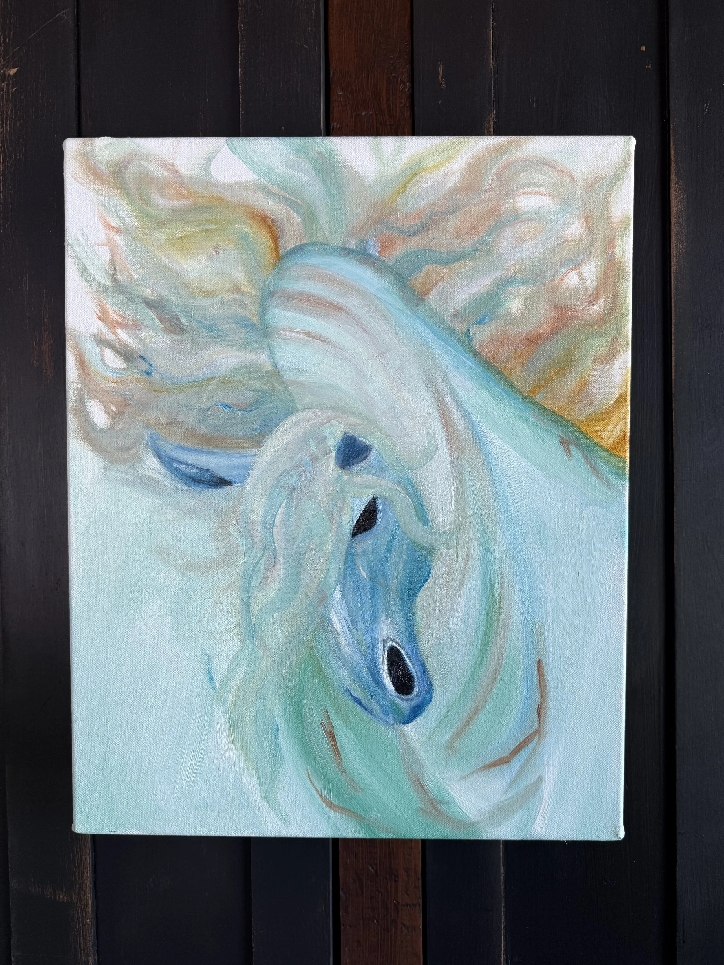 Echo's of the Kelpie