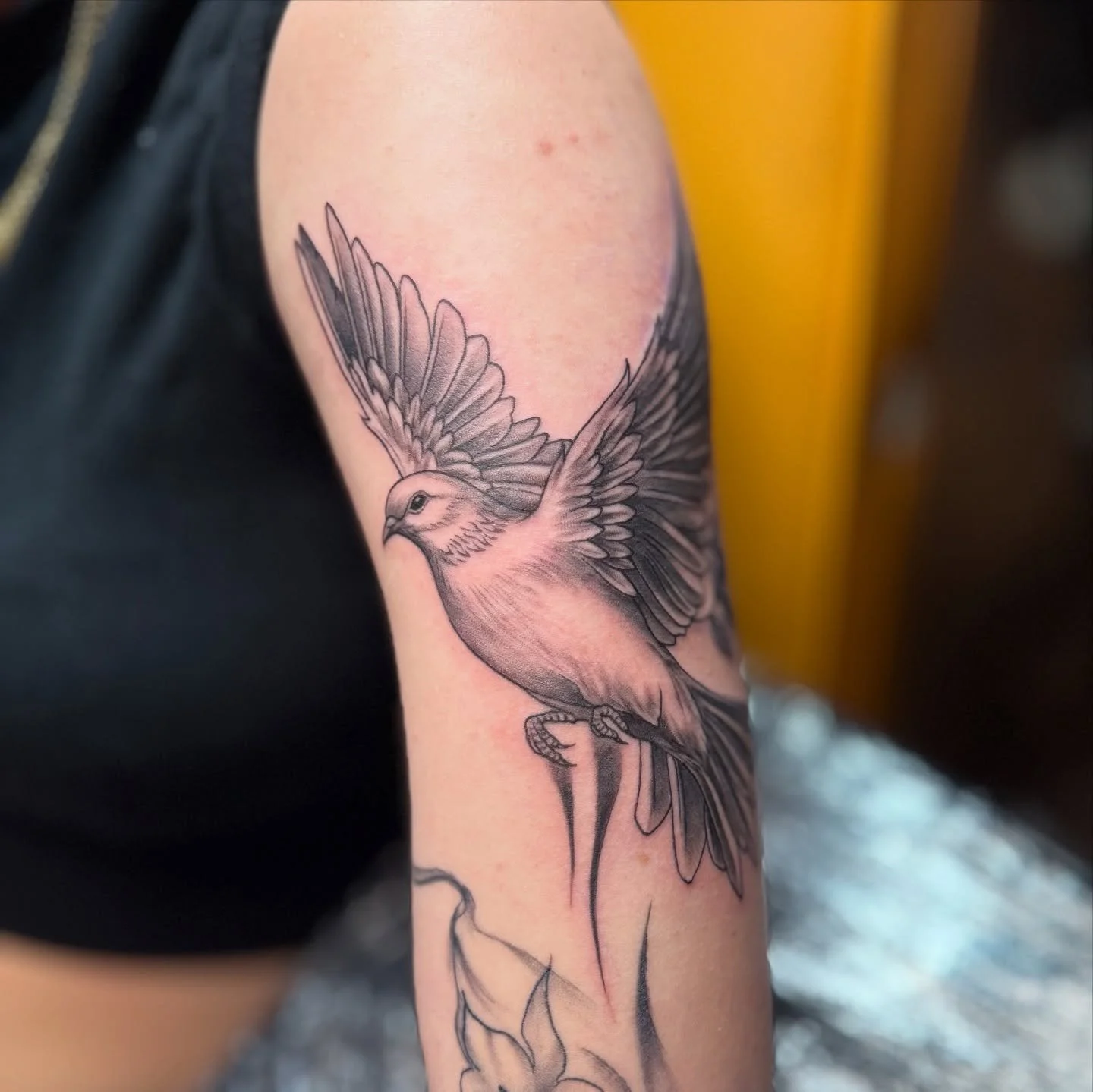 ποΈ @suncityink