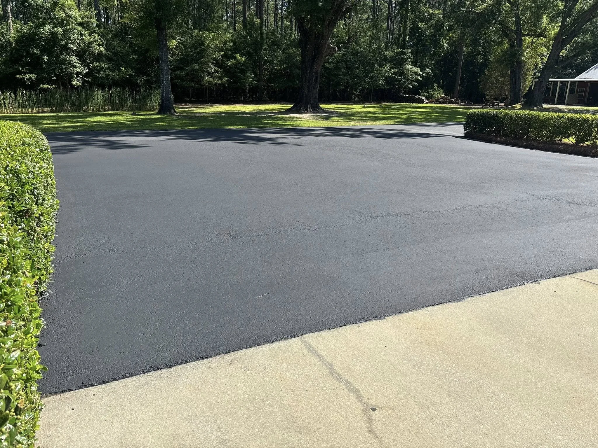 Freshly paved black asphalt driveway with a sidewalk and green bushes on the sides, surrounded by trees and a grassy area in the background.
