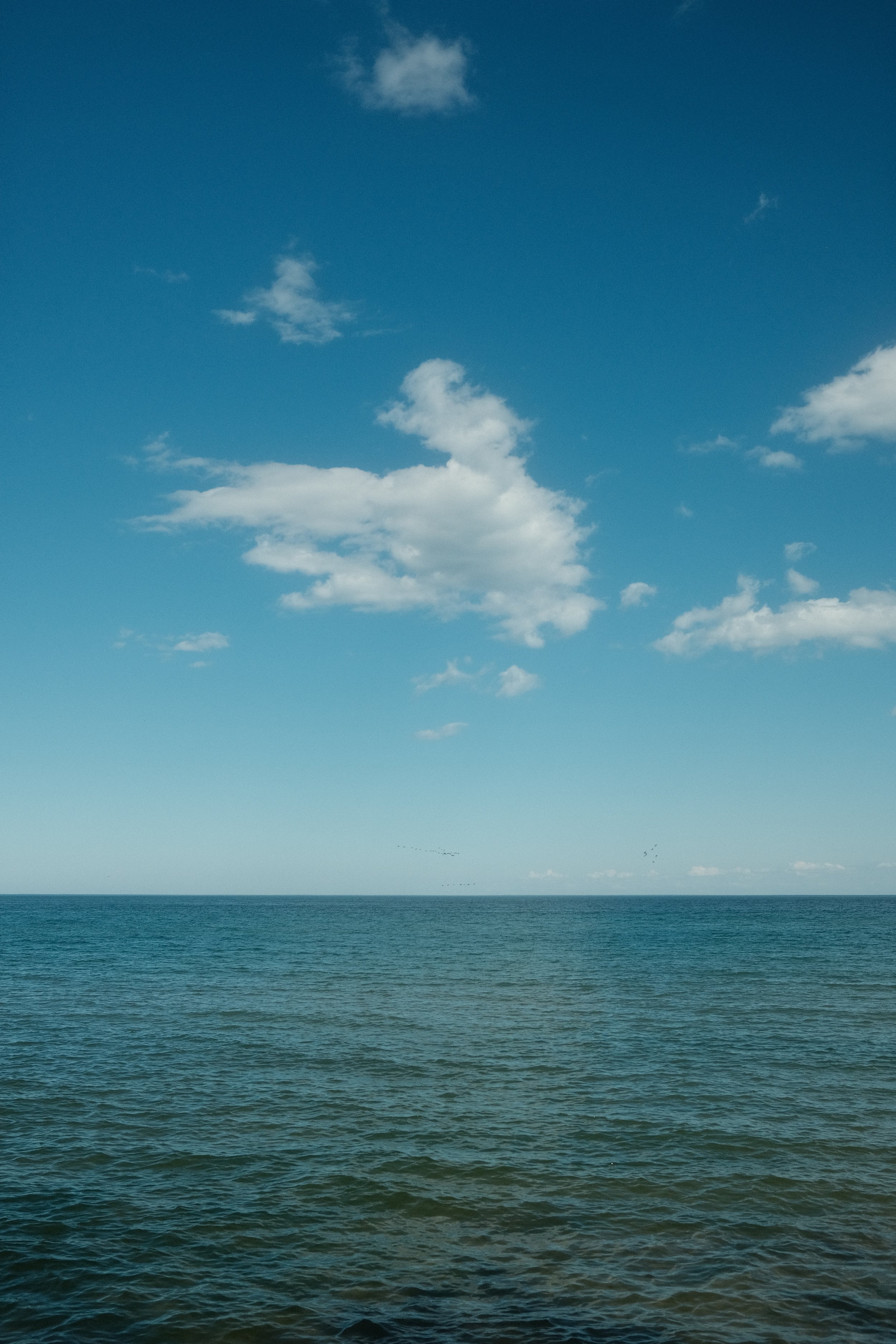 DSCF1024.JPG