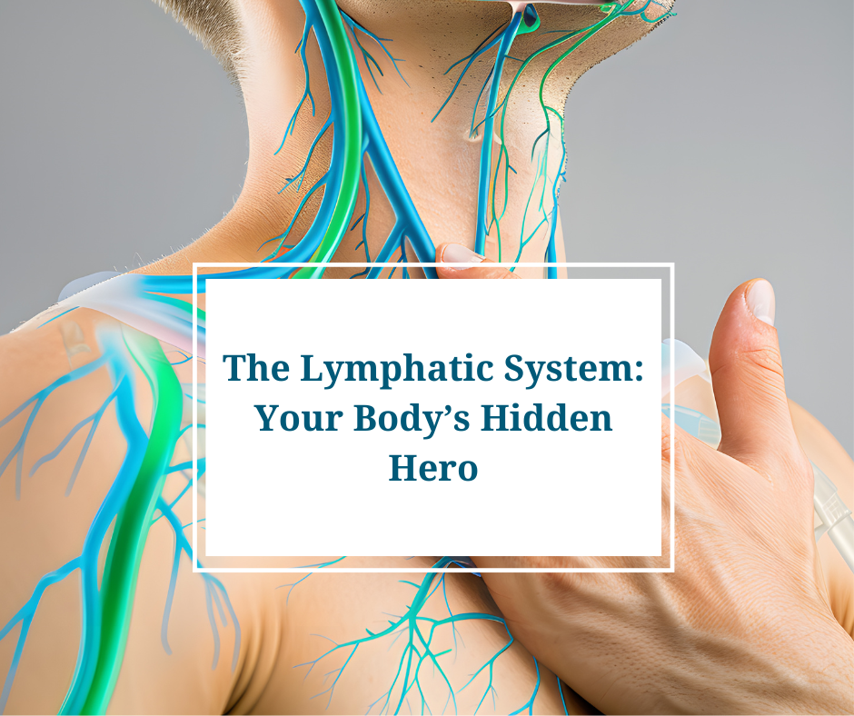 The Lymphatic System: Your Body’s Hidden Hero