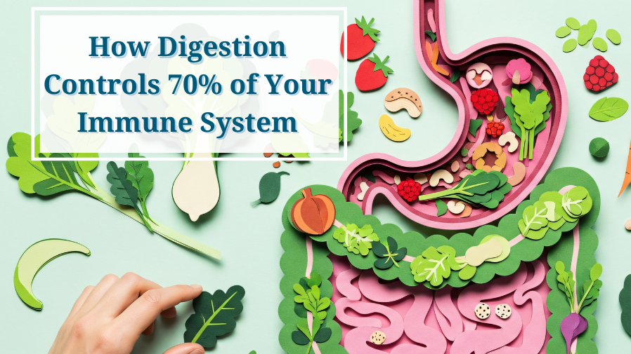 How Digestion Controls 70% of Your Immune System.