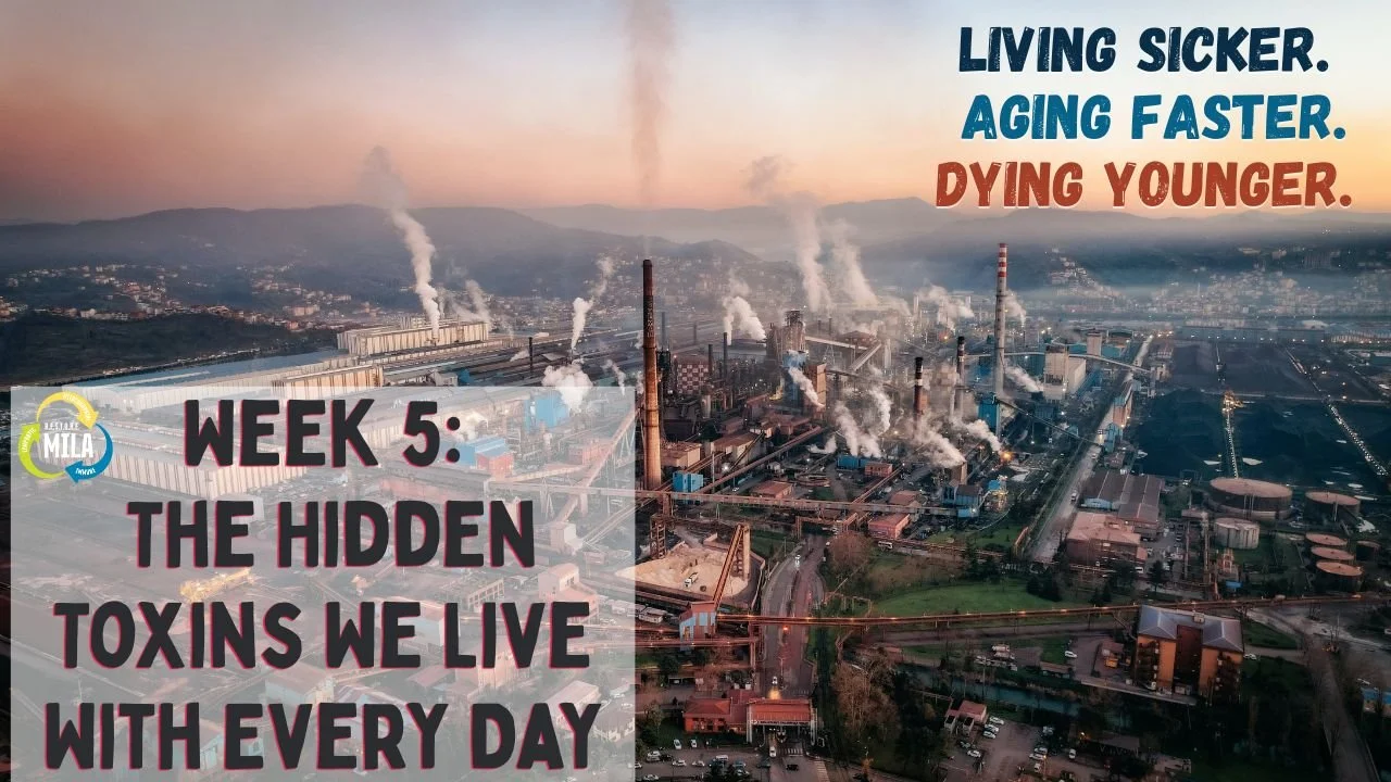 The Hidden Toxins We Live With Every Day