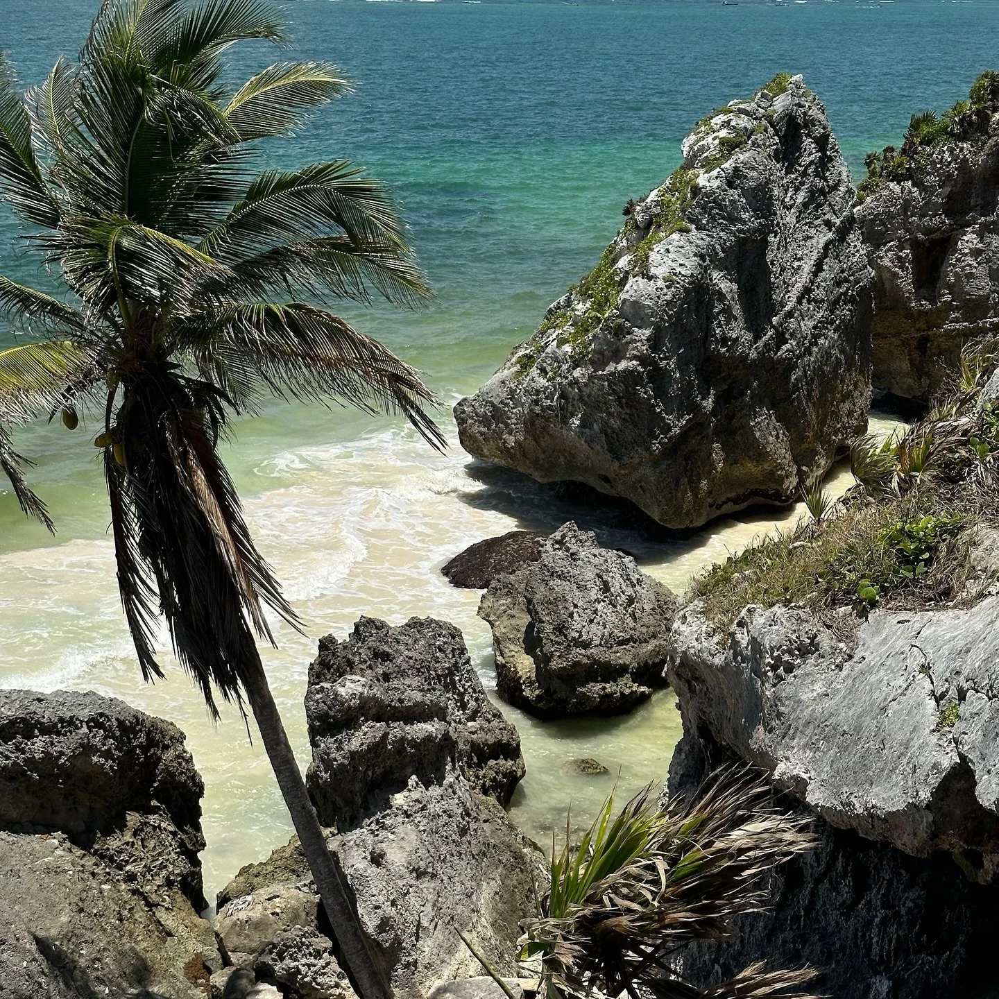 two beautiful days in tulum before hurricane beryl forced us to evacuate 🫠🫶