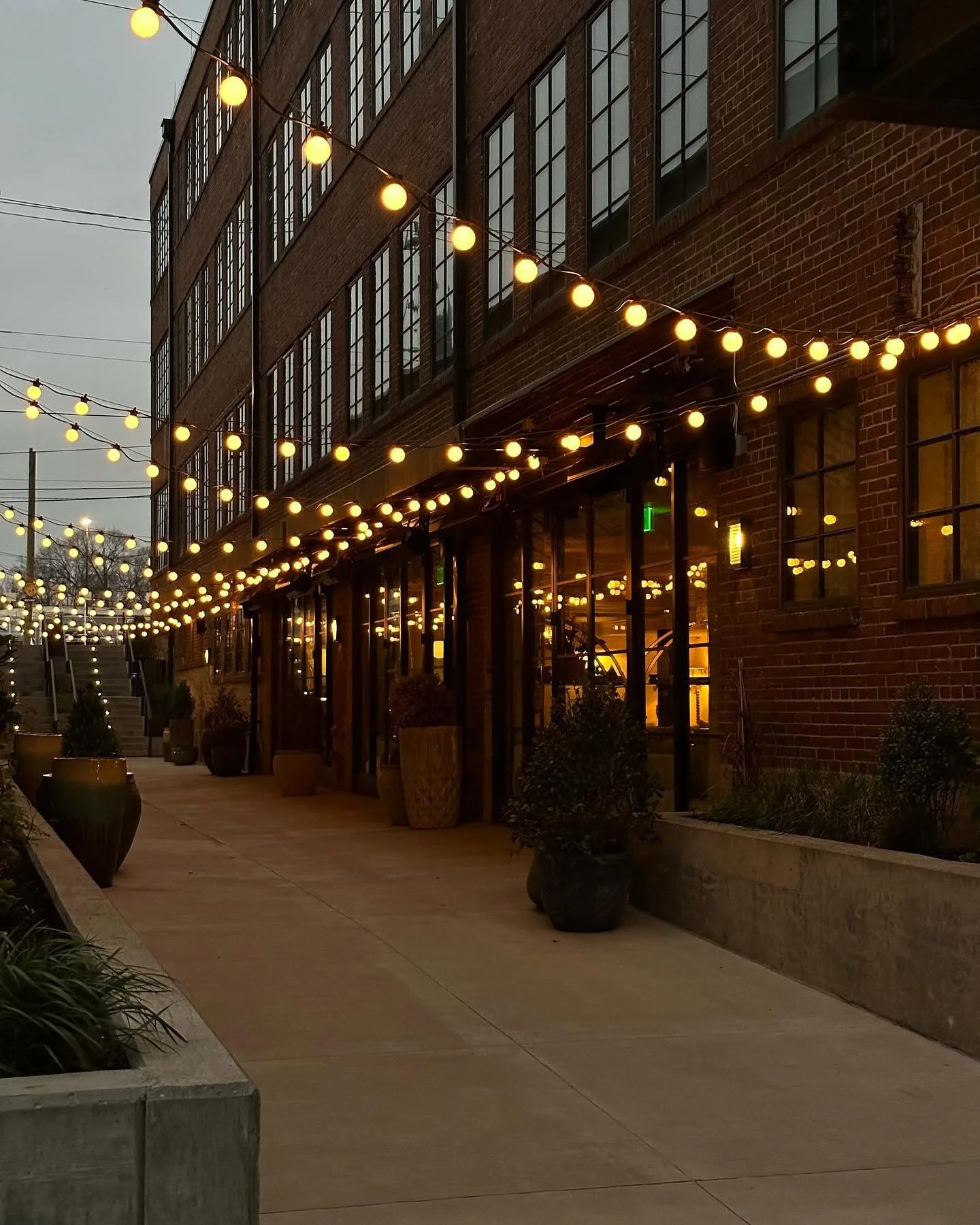 it has been a sweet year 💕 worked hard and celebrated big moments and gardened and stressed a lot and learned a new skill and grieved for loved ones and drank white russians at a big lebowski themed bar in Iceland. I&rsquo;m so grateful for it all, 