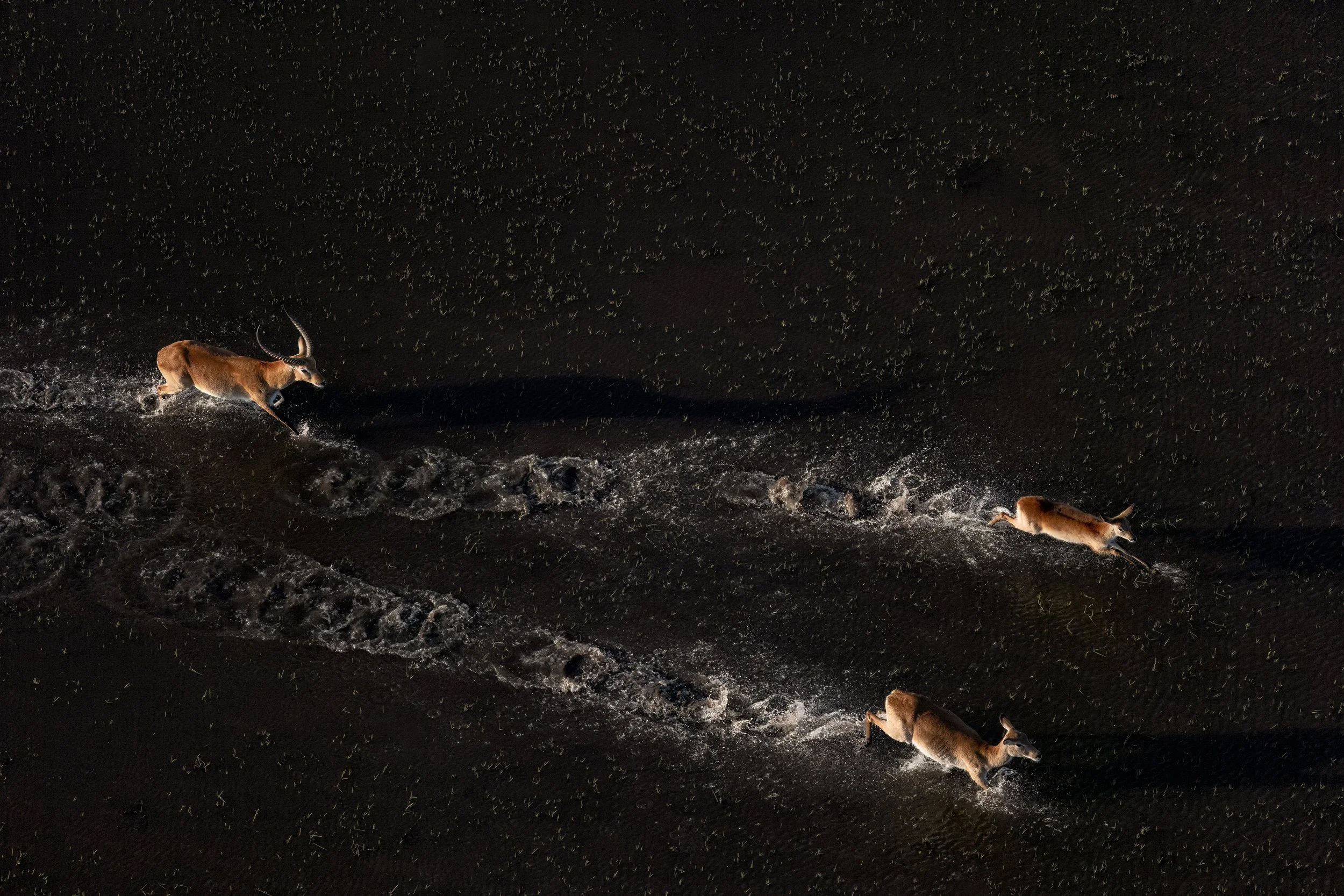 A1_09220-Edit-Edit.jpg