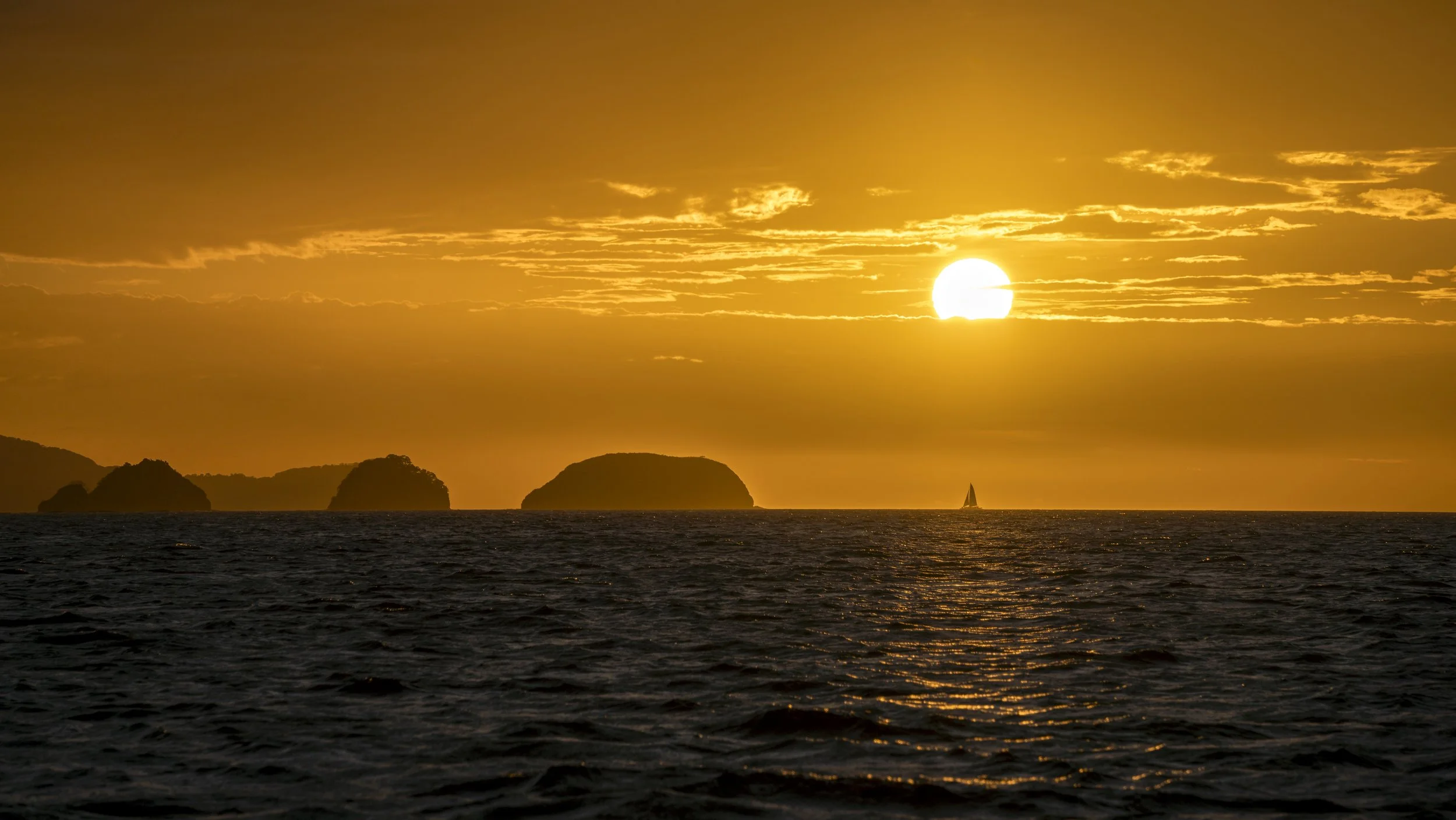 Sails on the Horizon