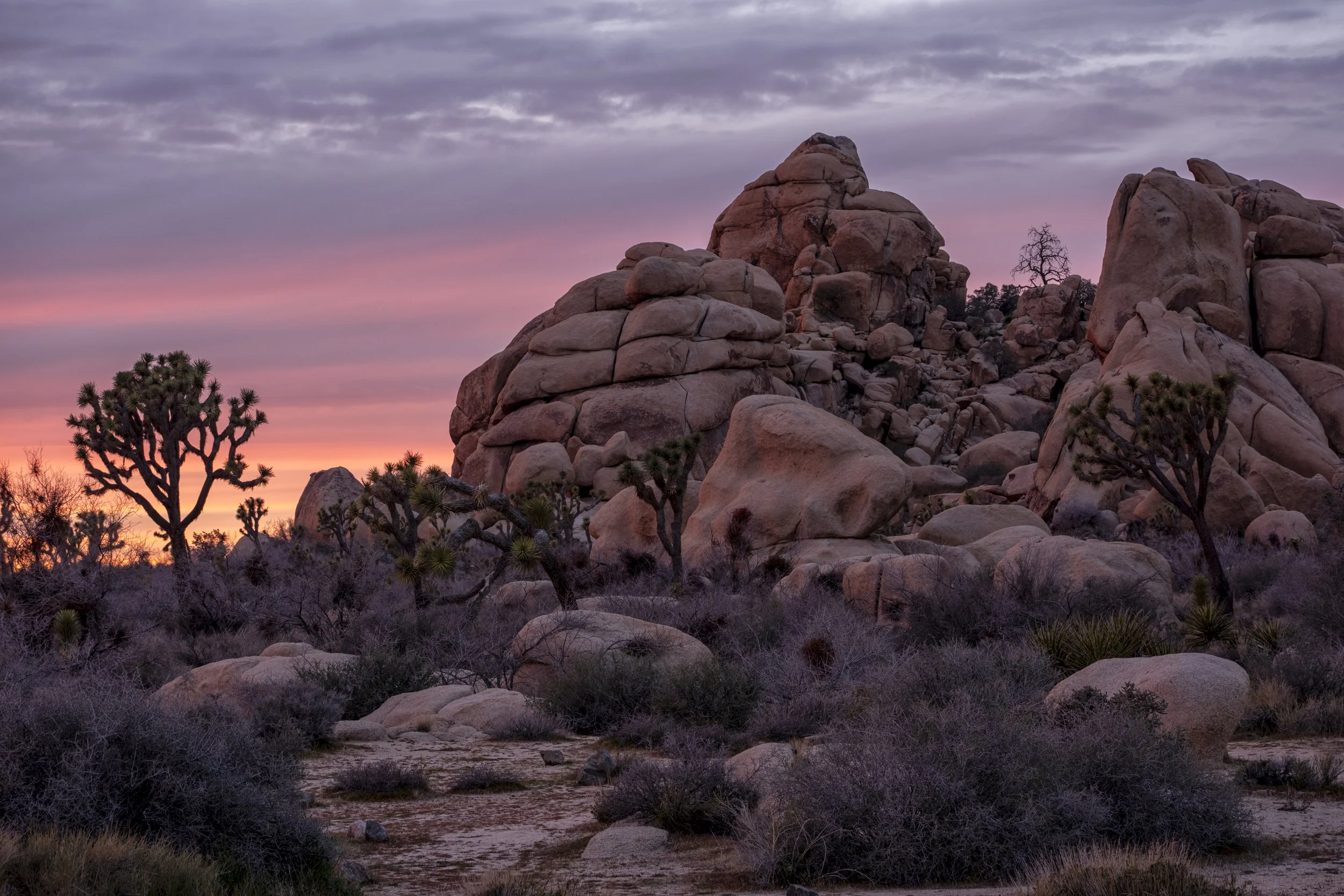 137MSDCF_JoshuaTree_Intersection_Stack_1-Edit.jpg
